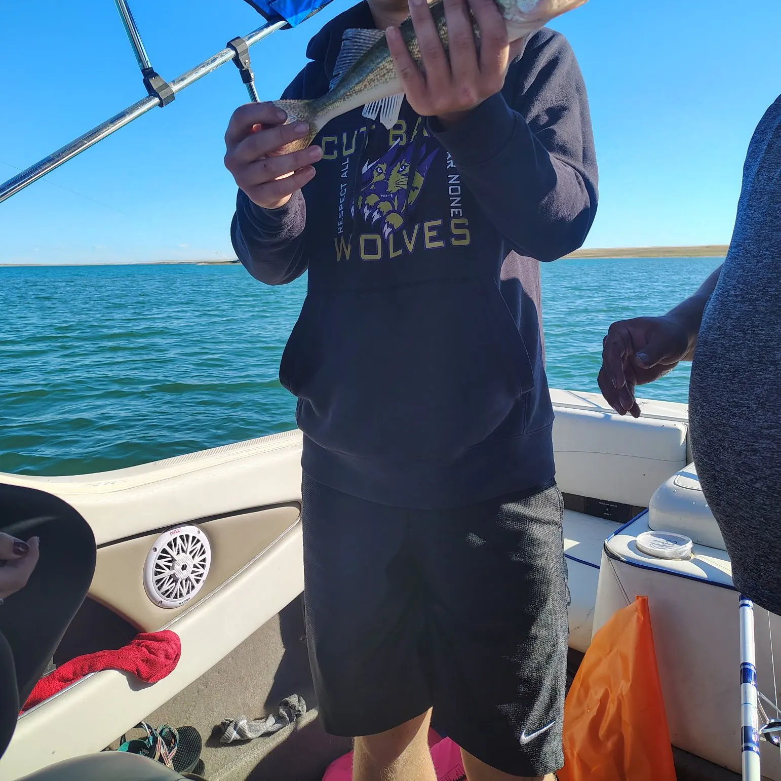 Walleye caught on Fishbrain