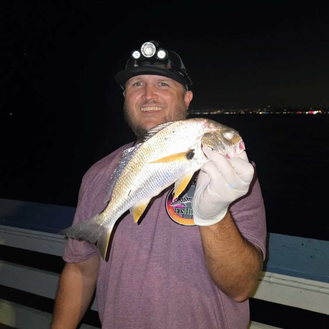 Spotfin croaker caught on Fishbrain