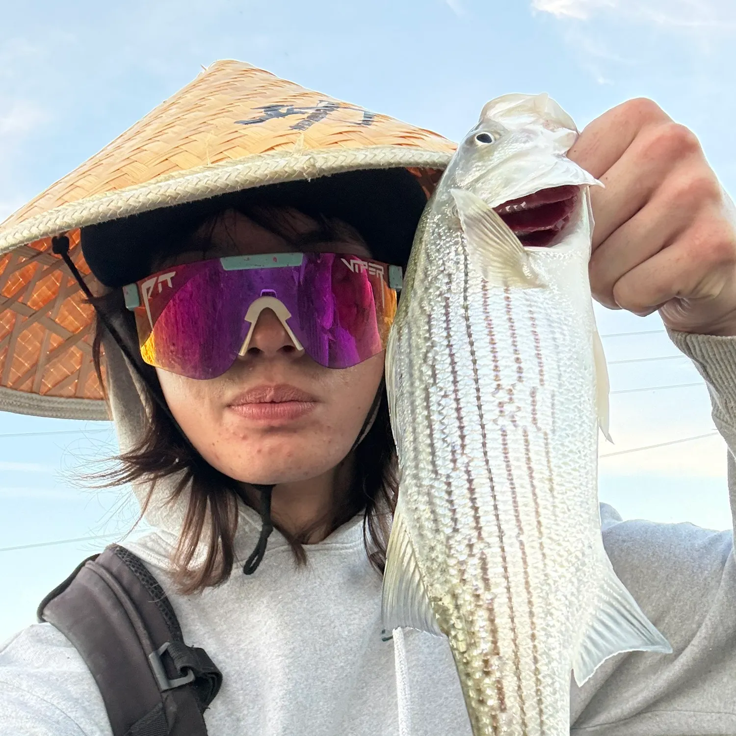 Striped bass caught on Fishbrain