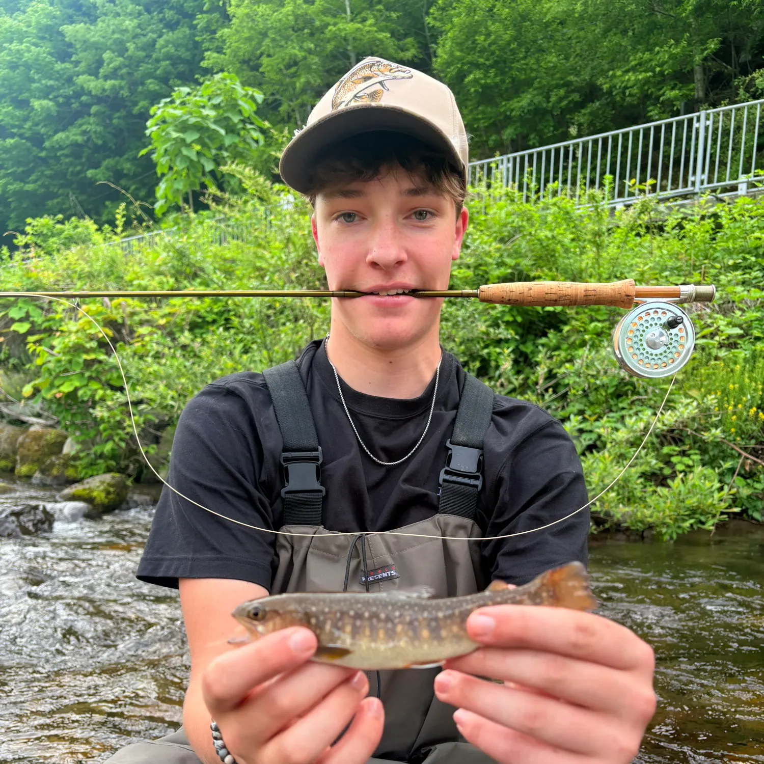 The most recent Whitespotted char catches on Fishbrain