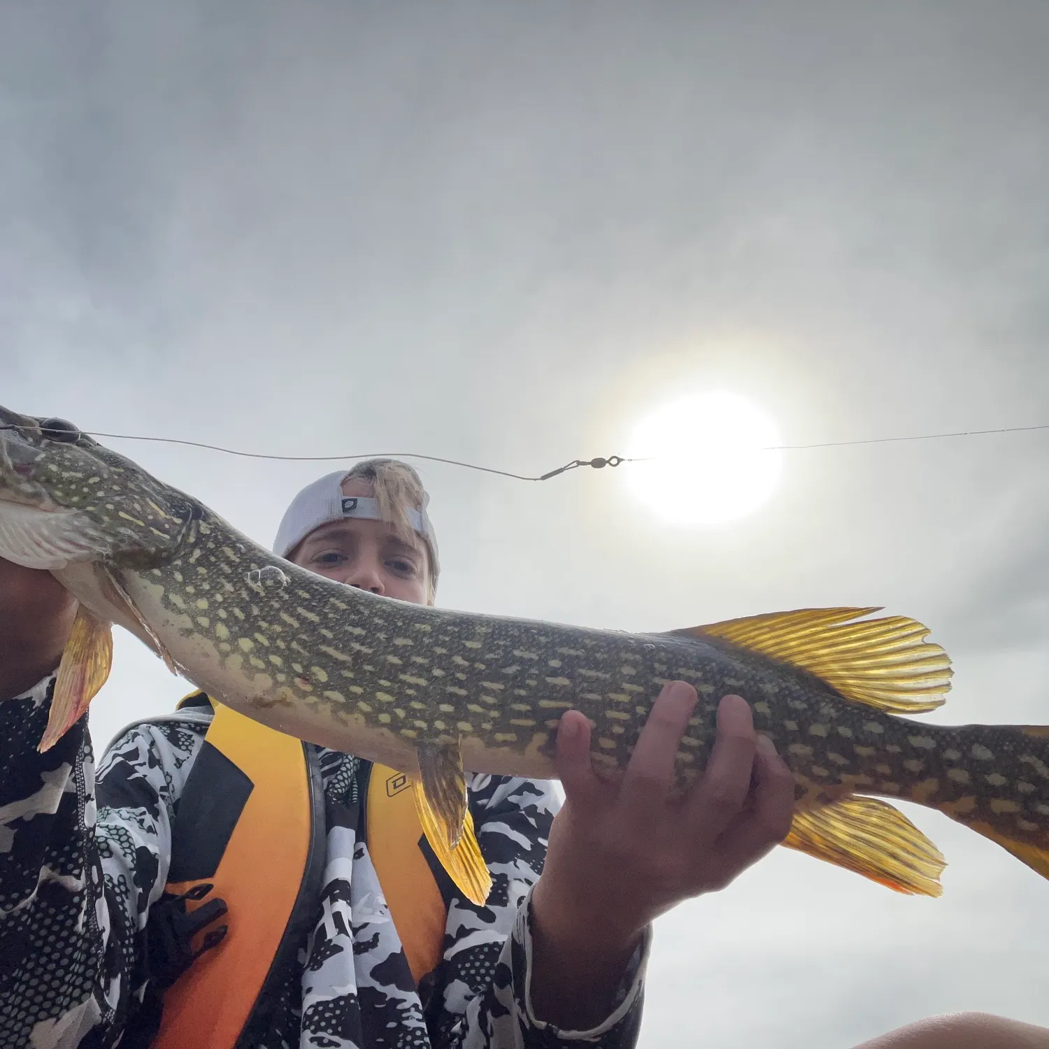 Northern pike caught on Fishbrain