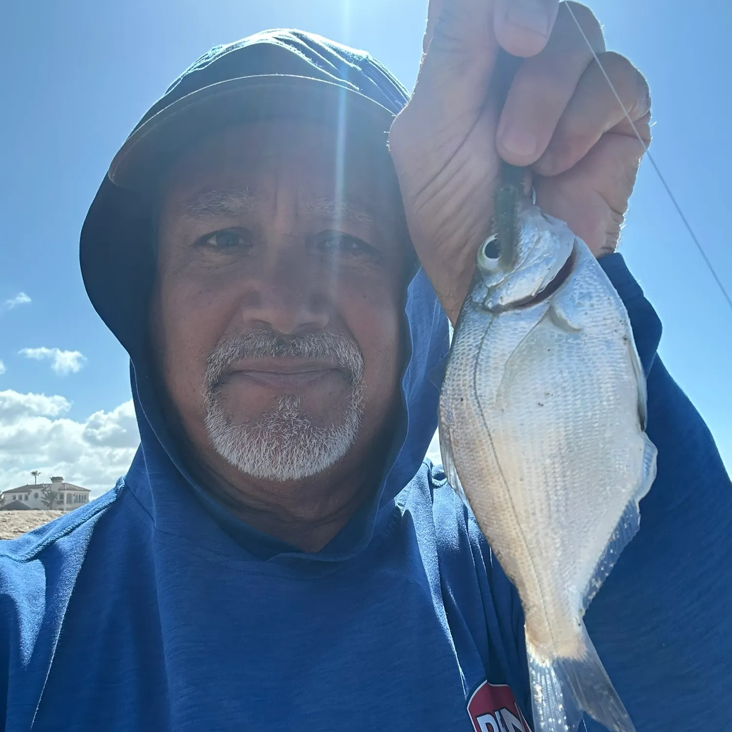 The most recent Walleye surfperch catches on Fishbrain