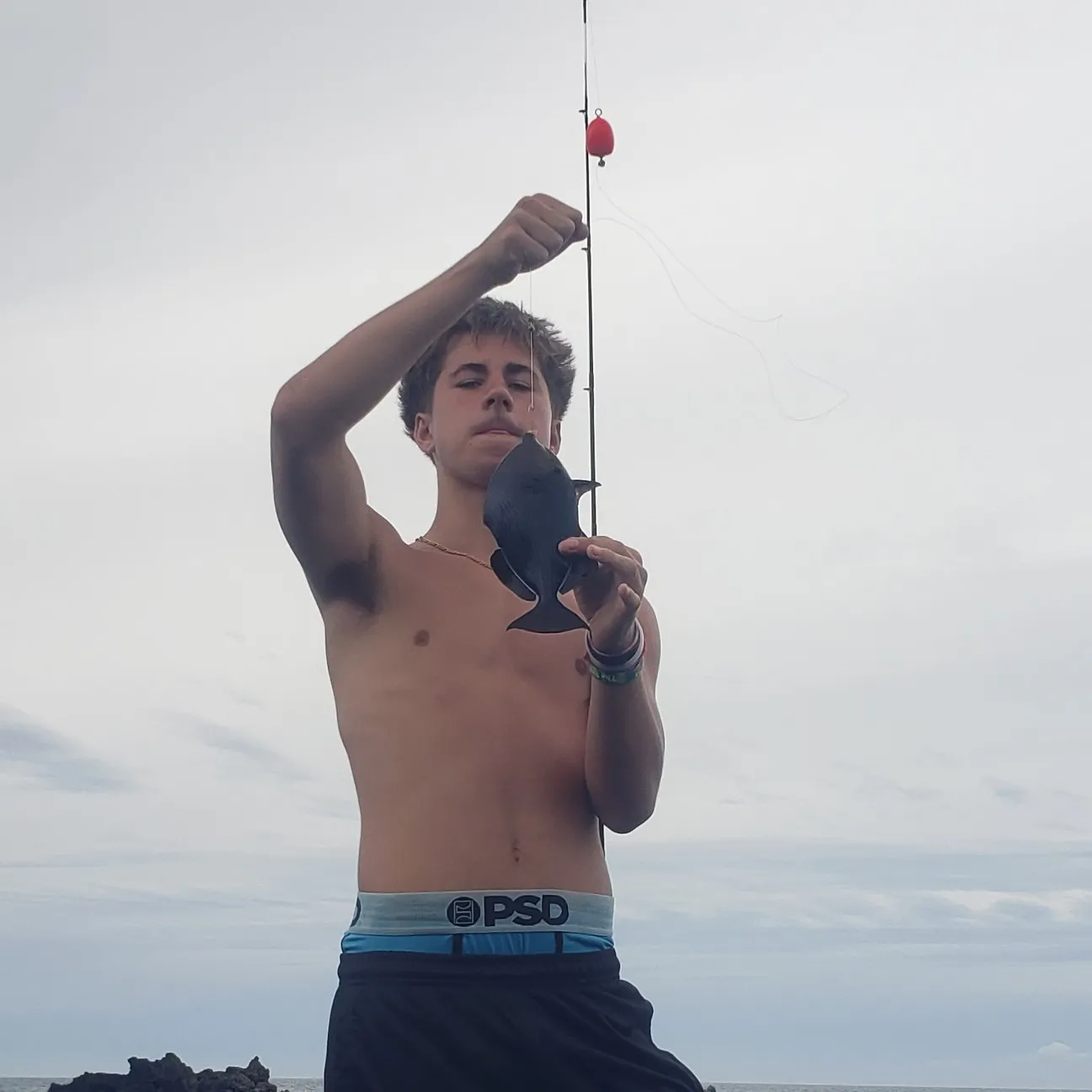 The most recent Black triggerfish catches on Fishbrain