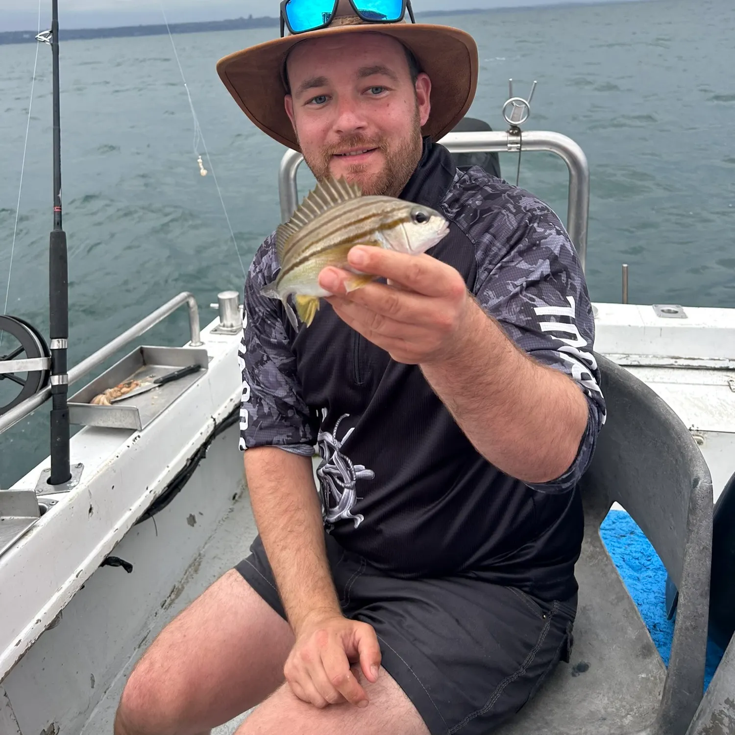 Four-lined Grunter caught on Fishbrain