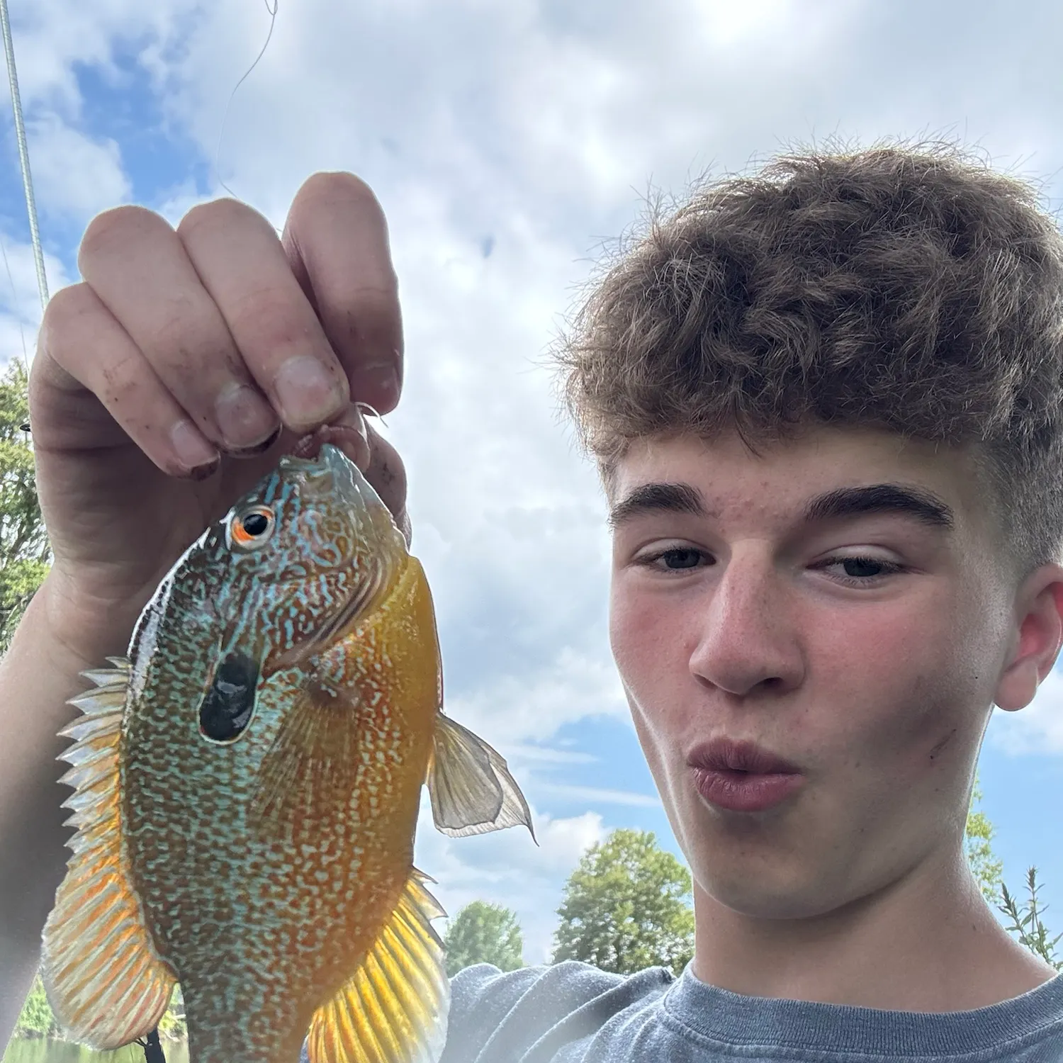 The most recent Longear sunfish catches on Fishbrain