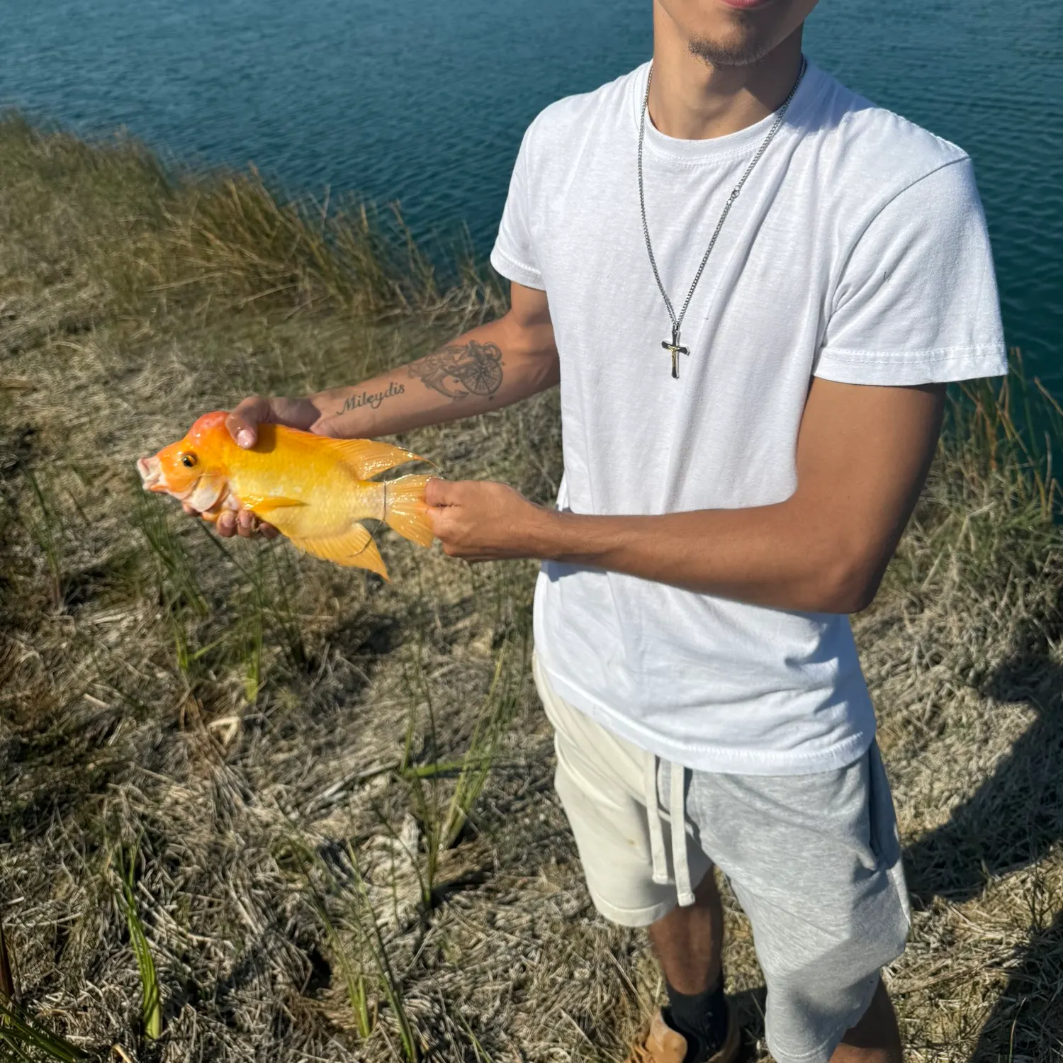 most liked catch image