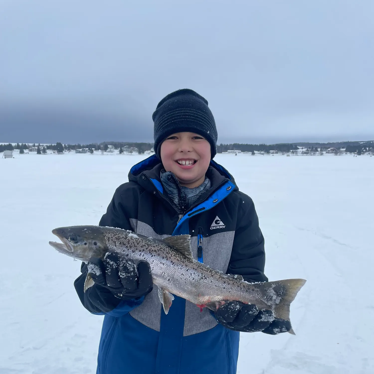 The most recent Landlocked atlantic salmon catches on Fishbrain
