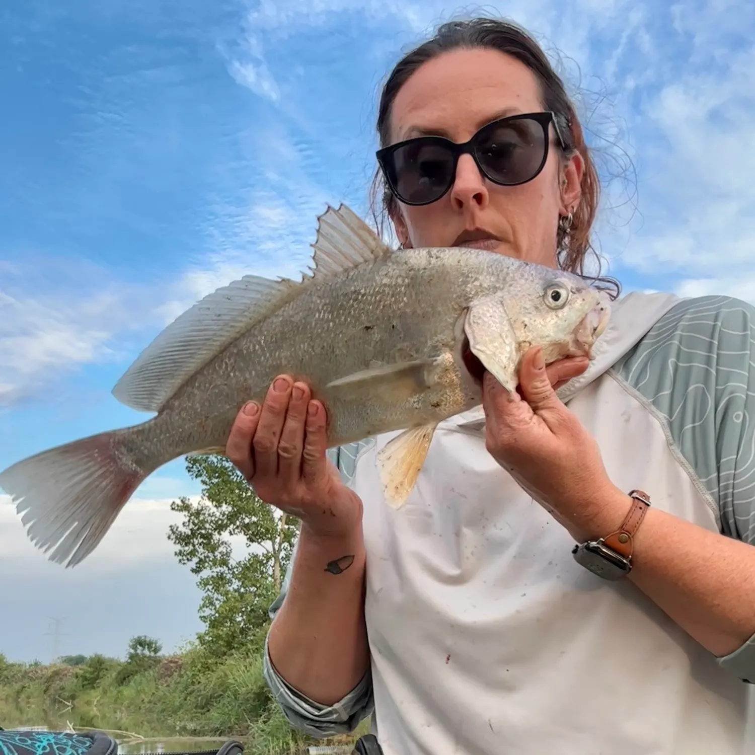 Freshwater drum caught on Fishbrain