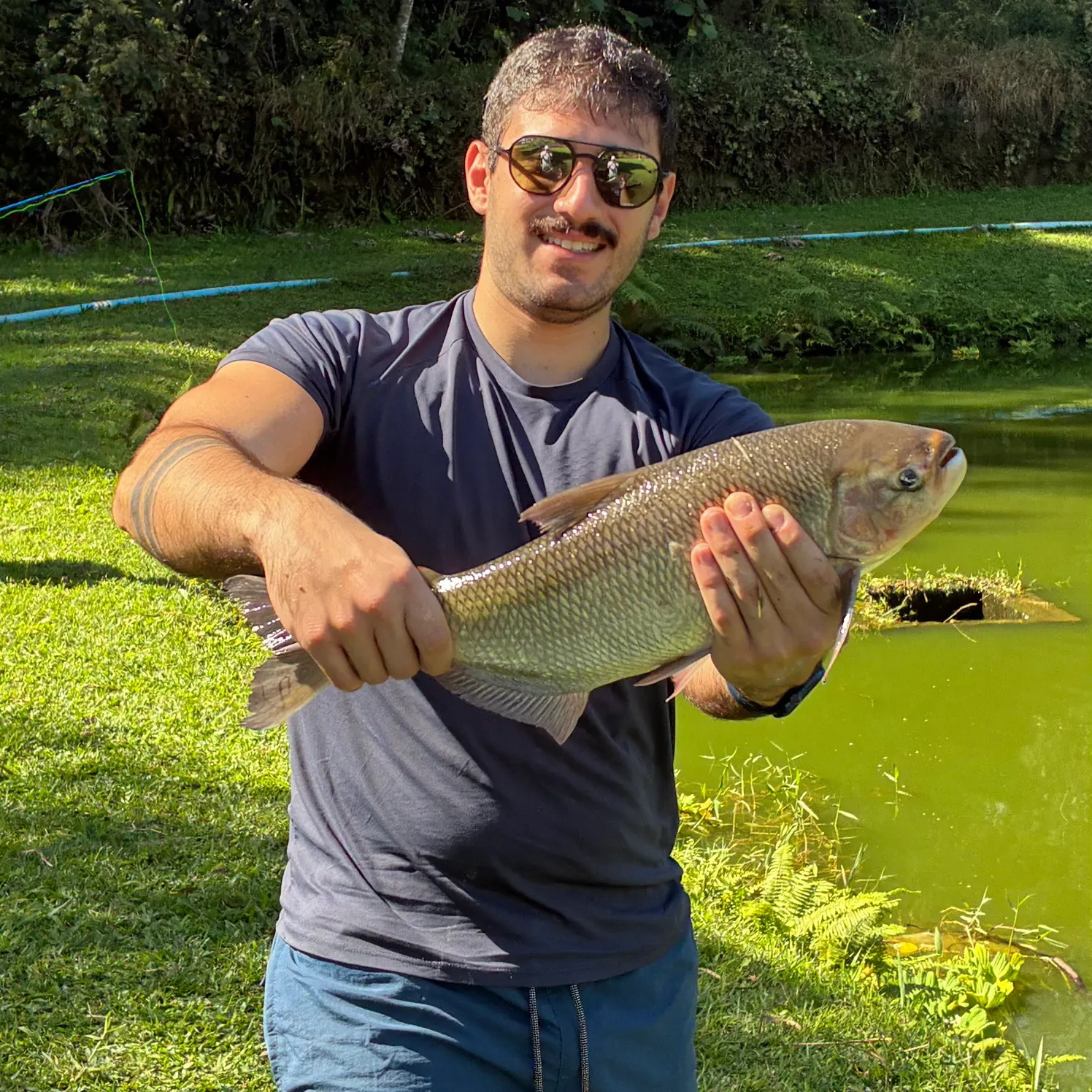 The most recent Matrichan catches on Fishbrain