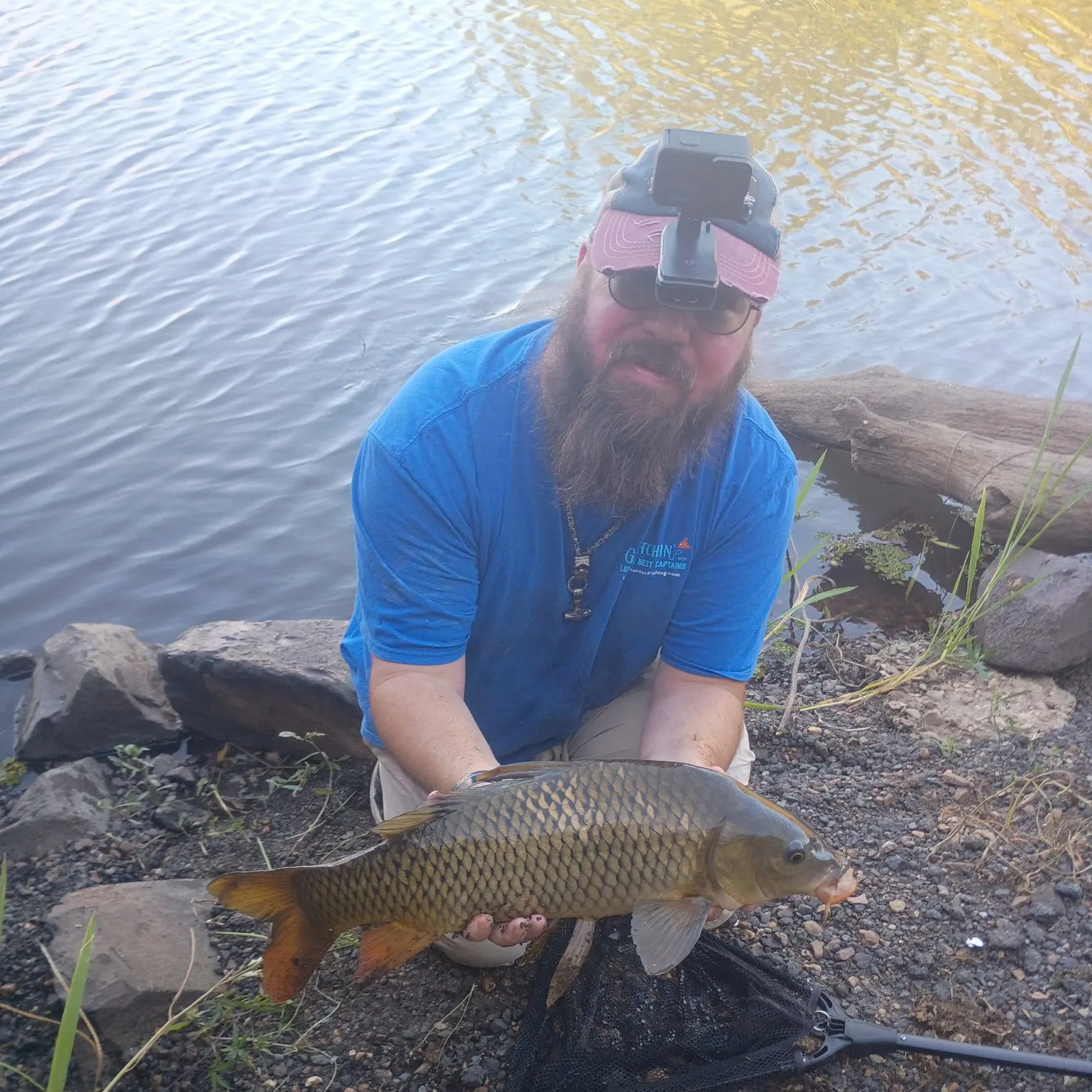 Common carp caught on Fishbrain