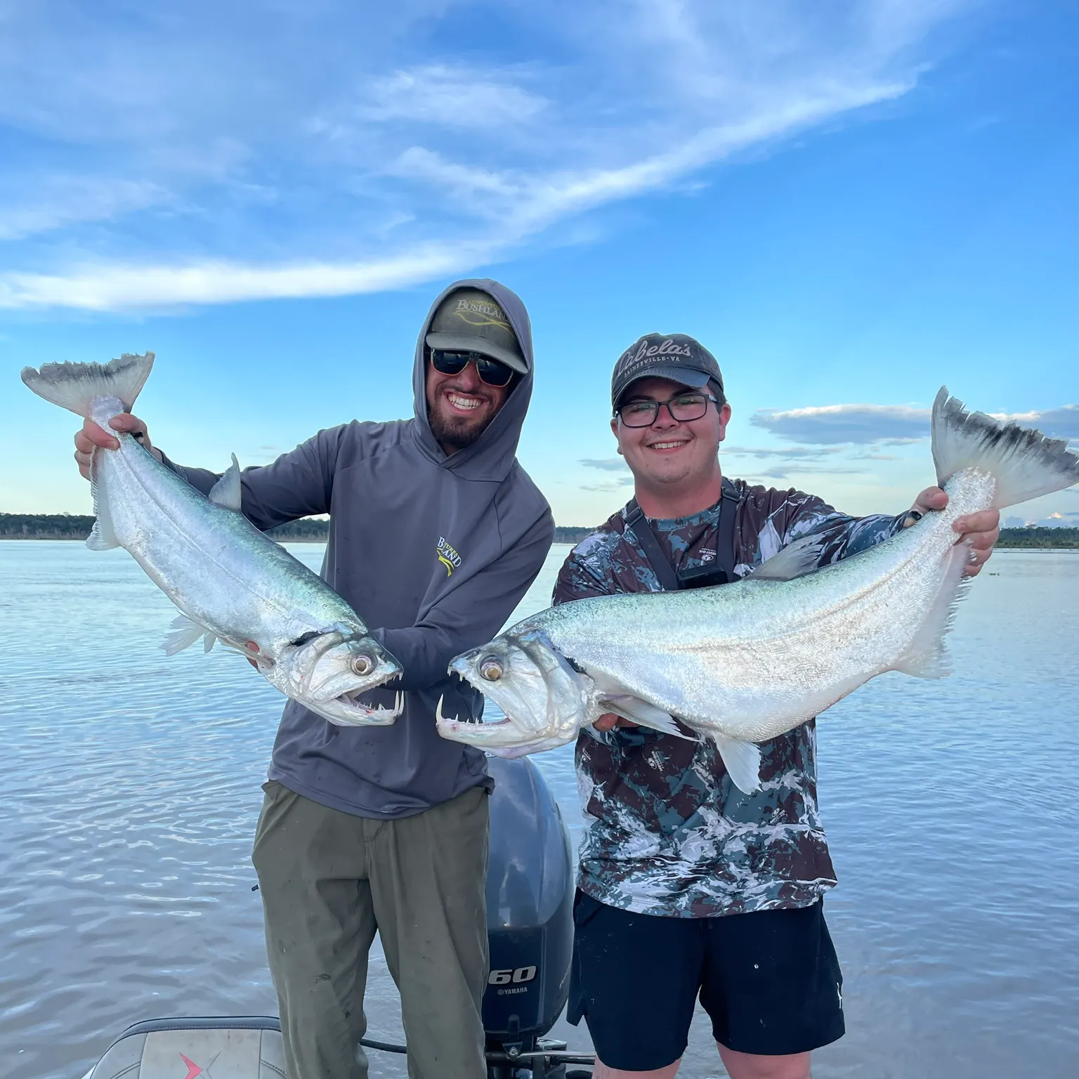 The most recent Black-tailed payara catches on Fishbrain