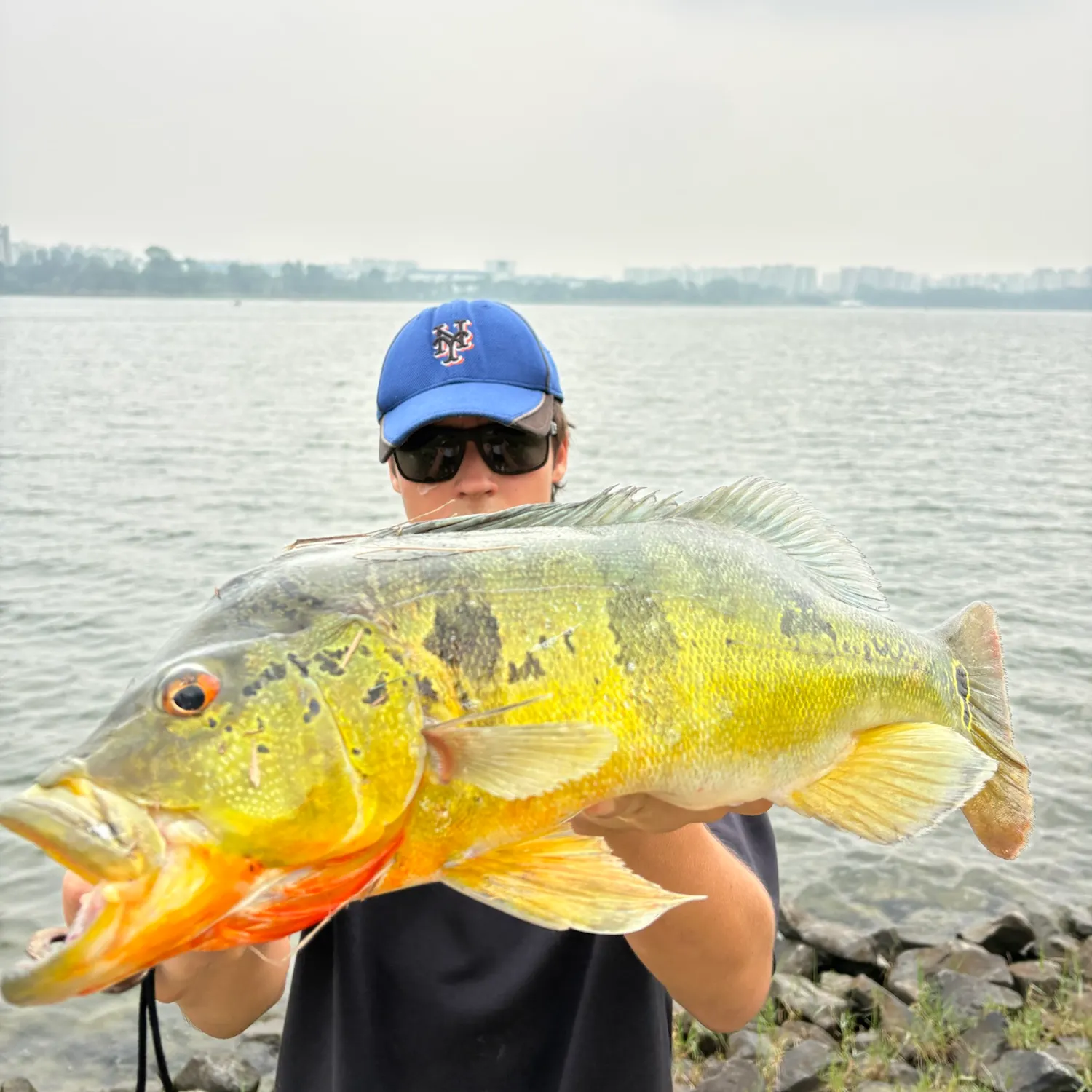 Butterfly peacock bass caught on Fishbrain
