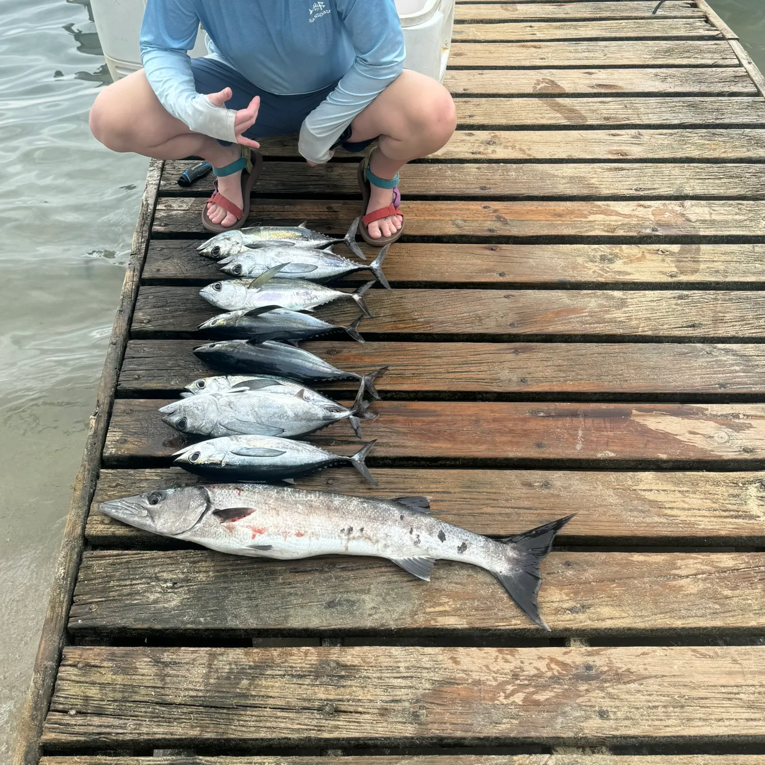 recently logged catches