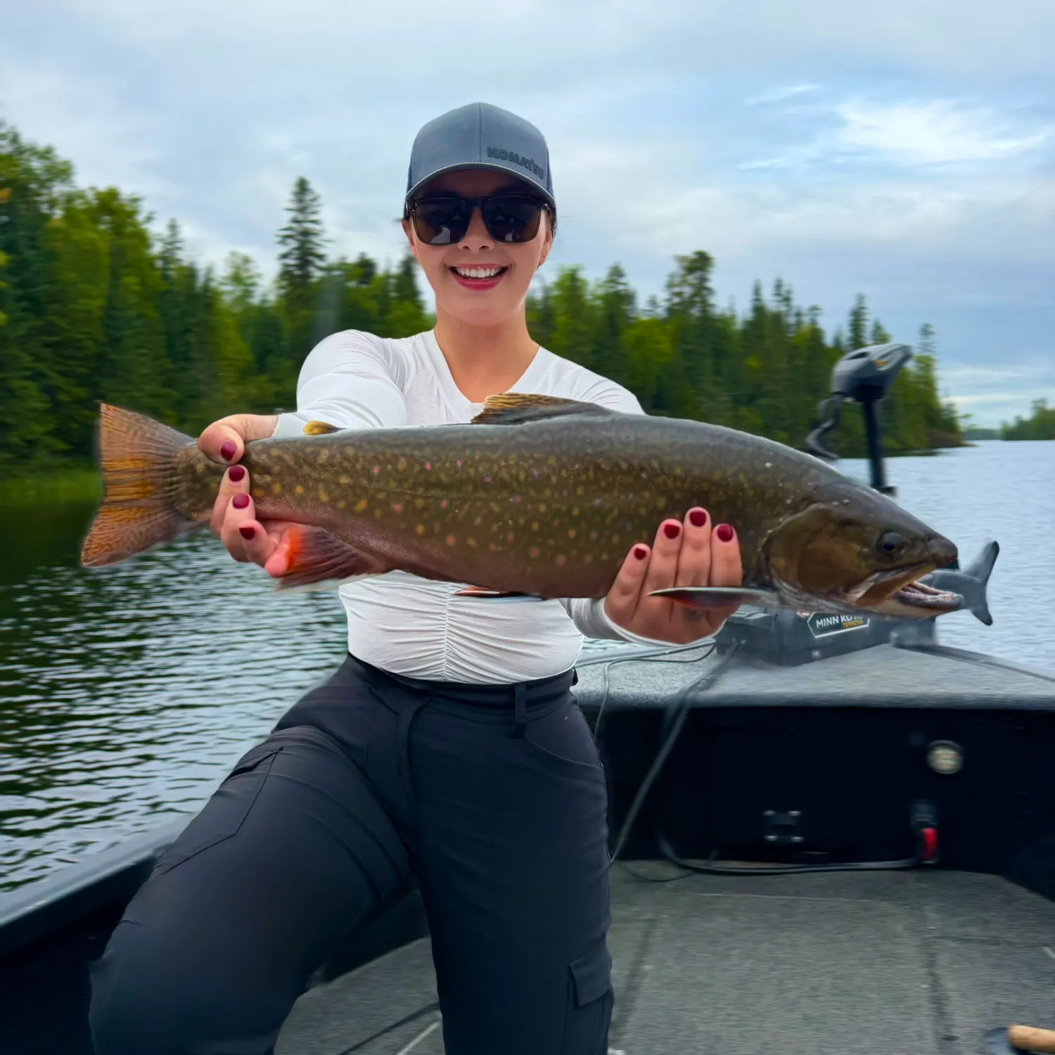 Brook trout caught on Fishbrain