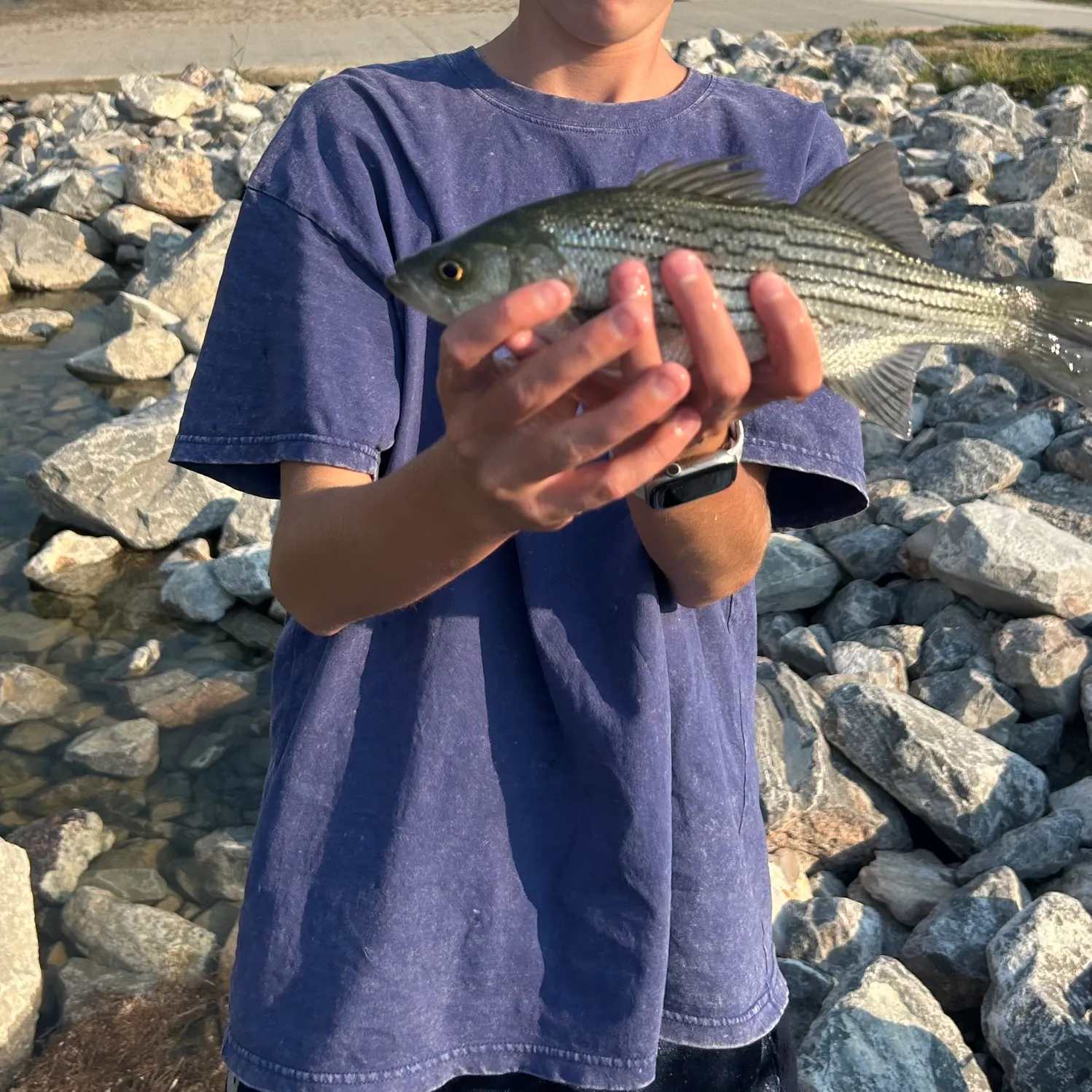 Wiper caught on Fishbrain