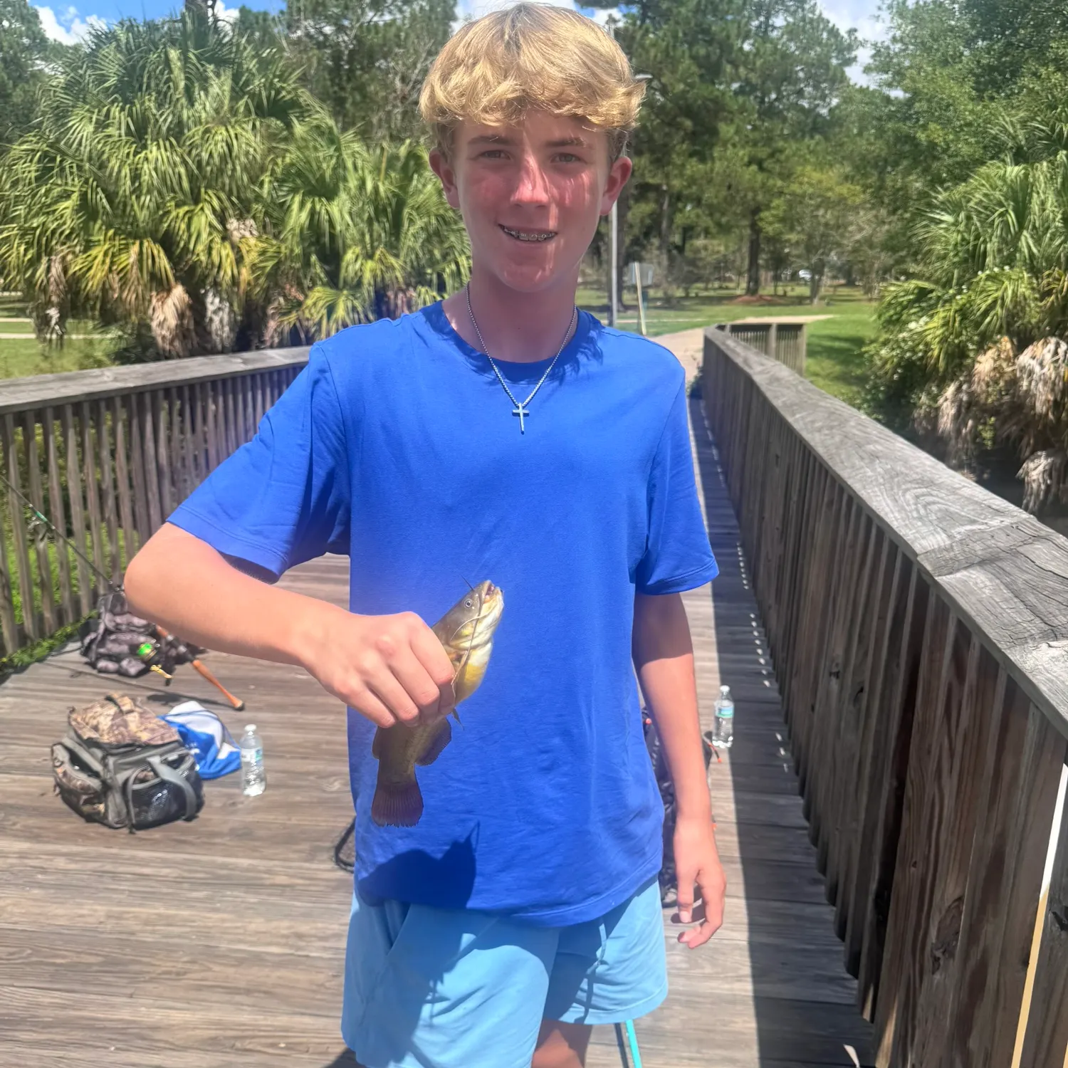 Yellow bullhead caught on Fishbrain