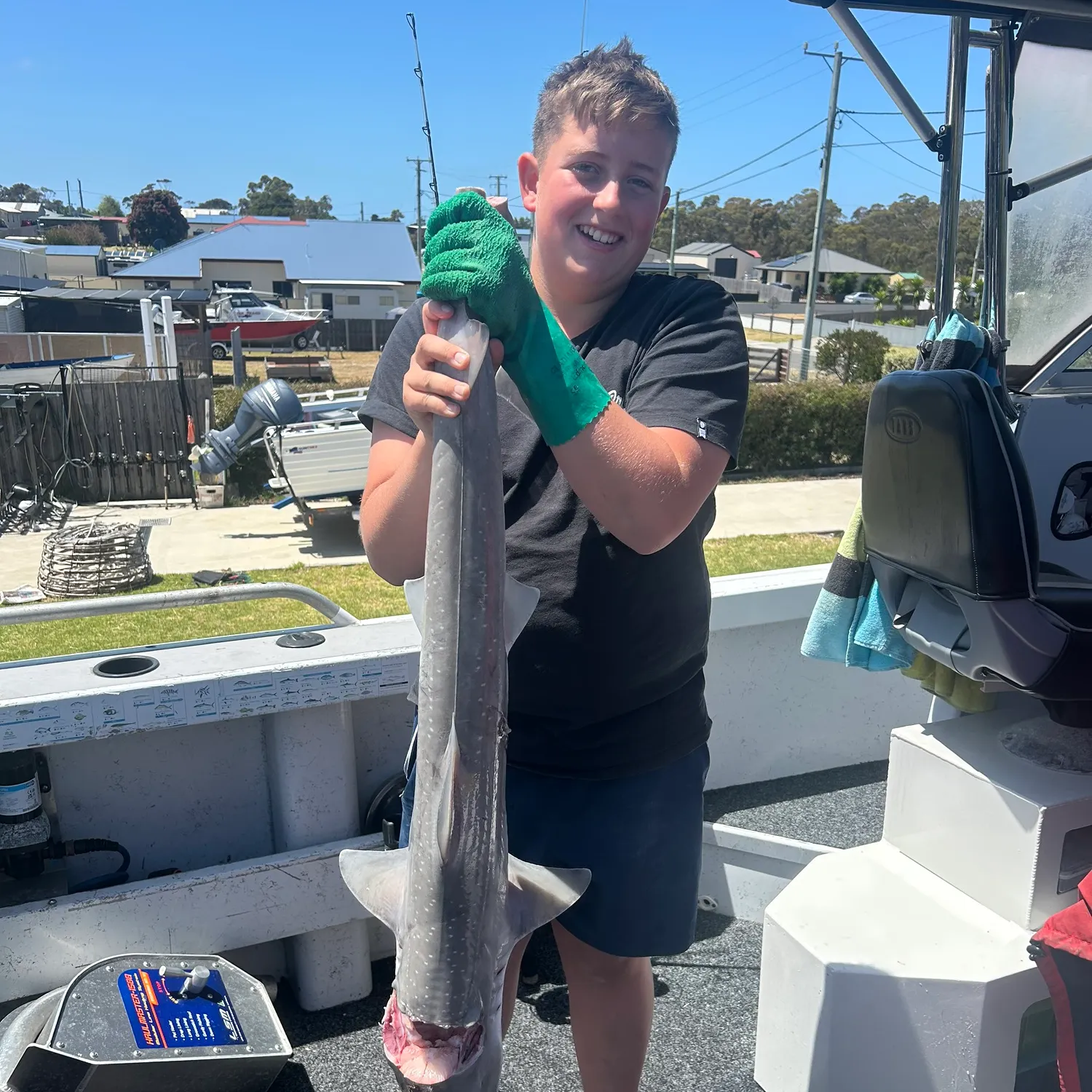 The most recent Gummy shark catches on Fishbrain