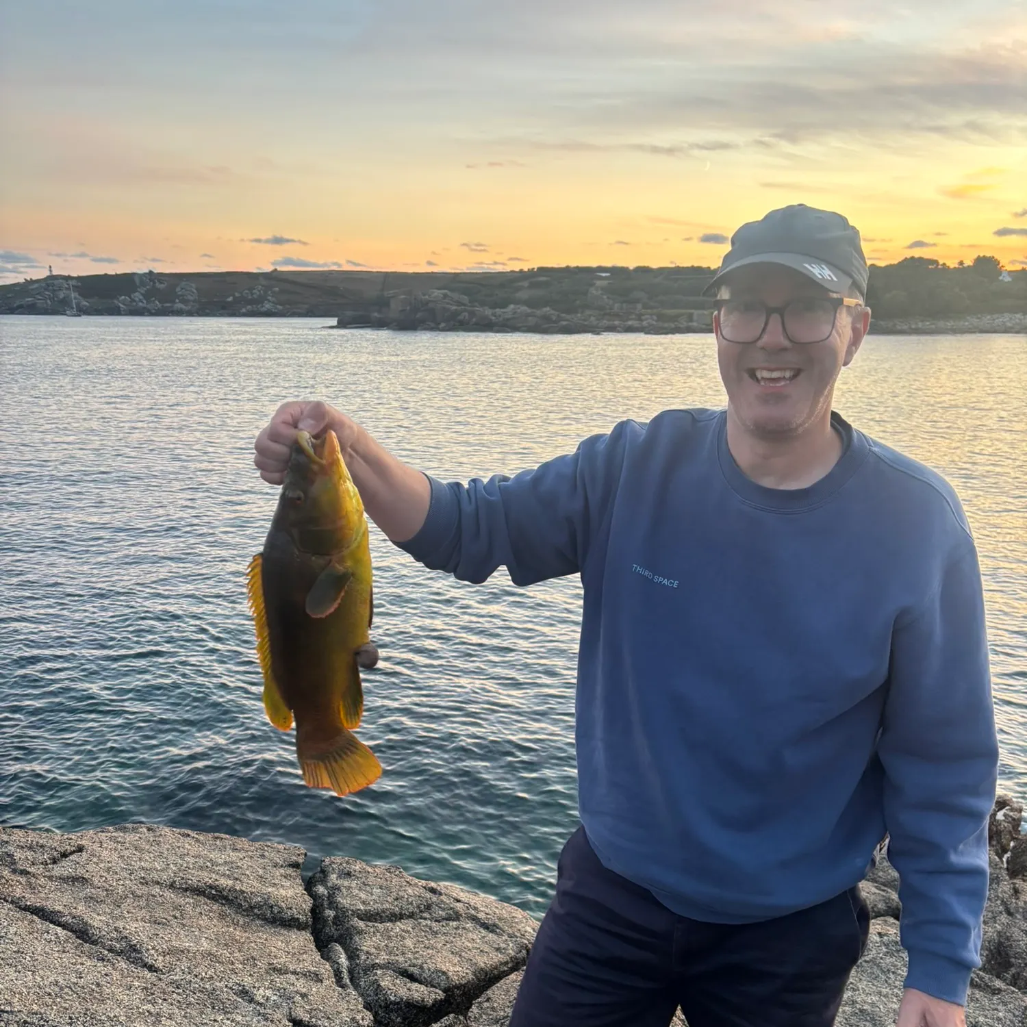 The most recent Ballan wrasse catches on Fishbrain