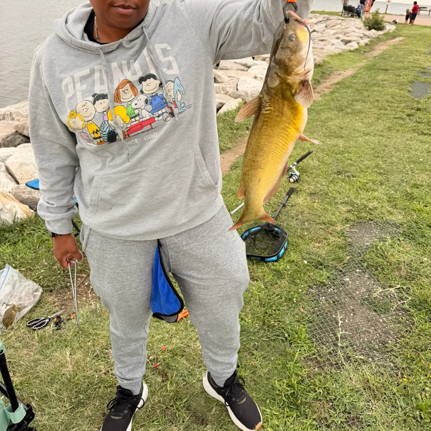 Channel catfish caught on Fishbrain