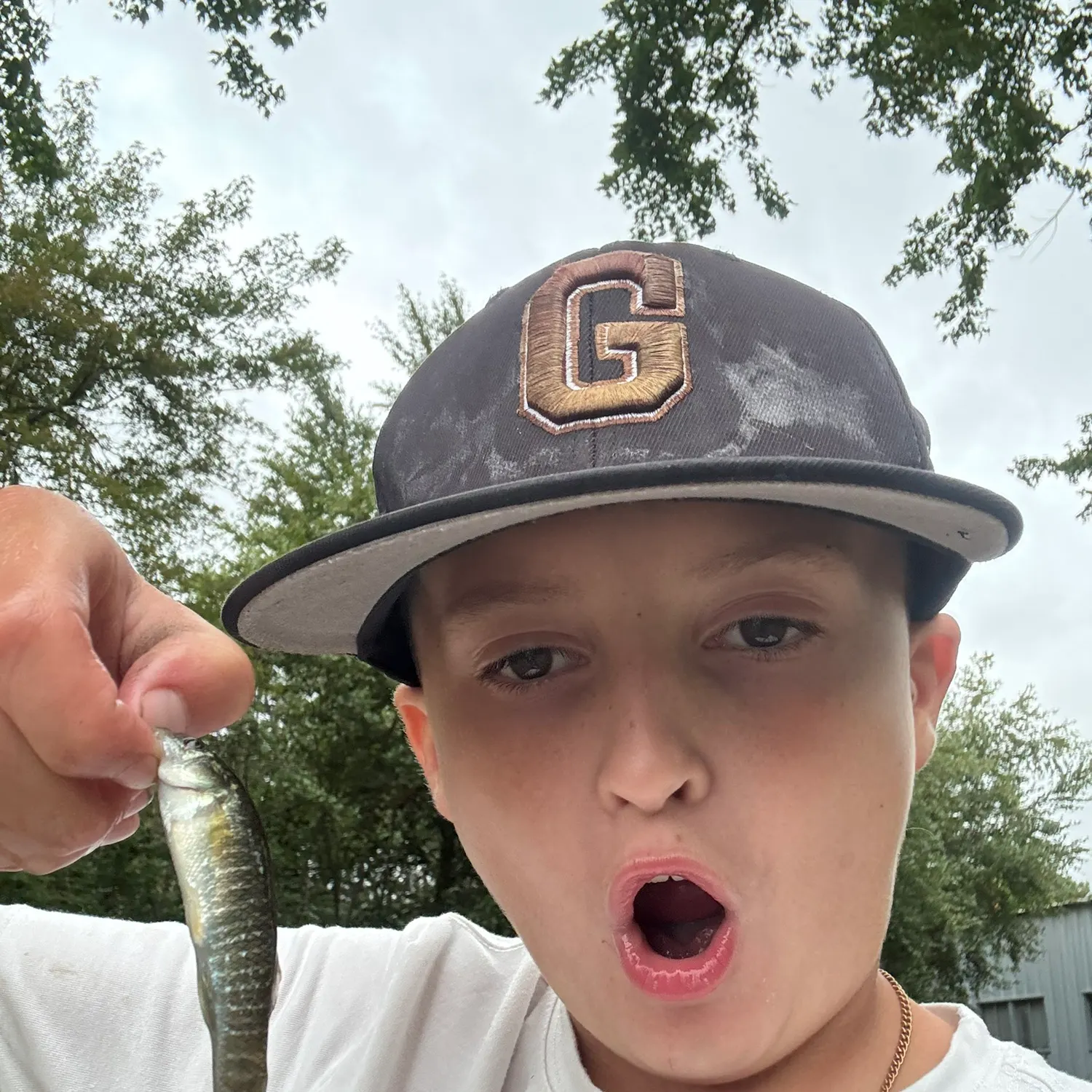 The most recent Bullhead minnow catches on Fishbrain
