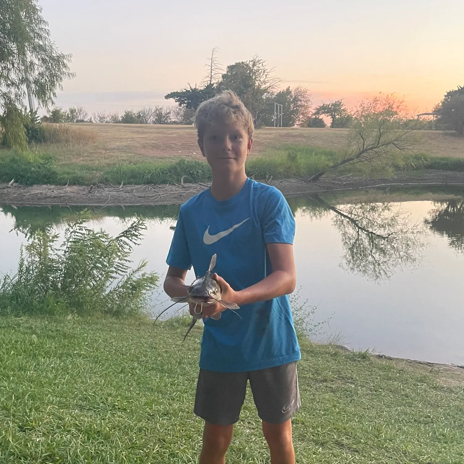 Channel catfish caught on Fishbrain