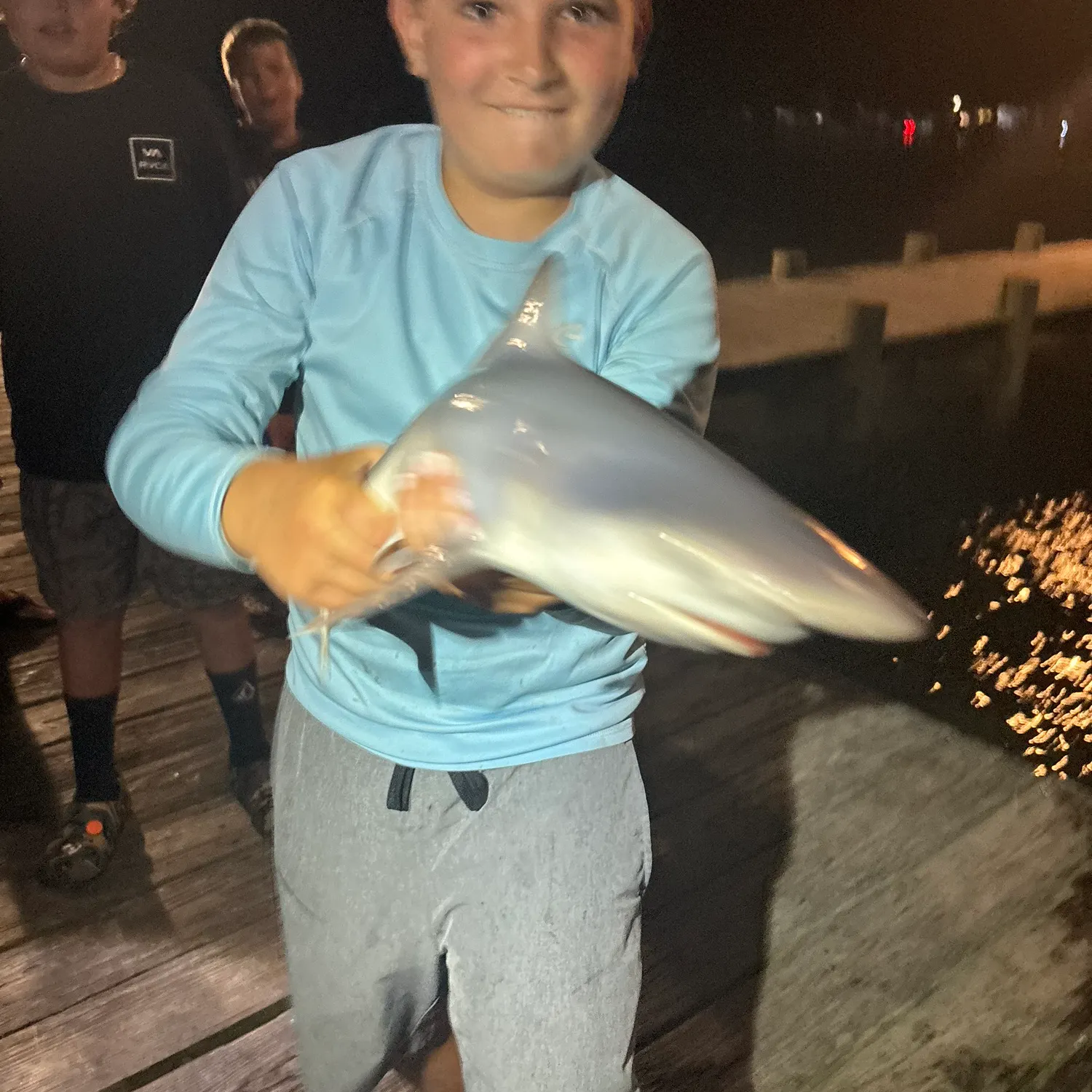 The most recent Sandbar shark catches on Fishbrain