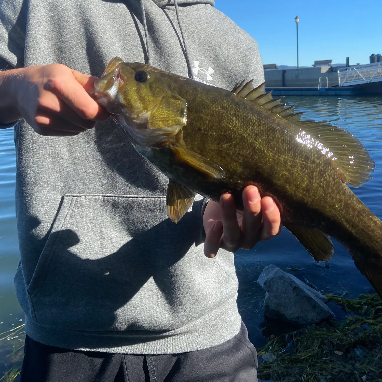 Smallmouth bass caught on Fishbrain