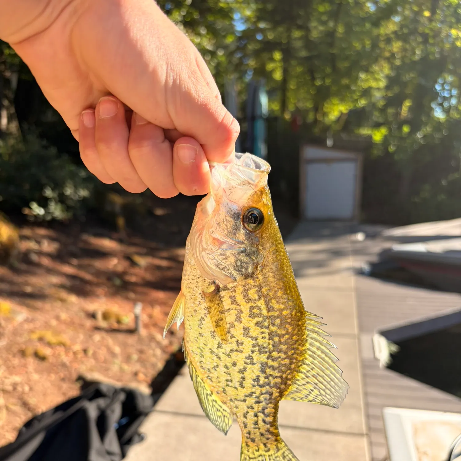 catch