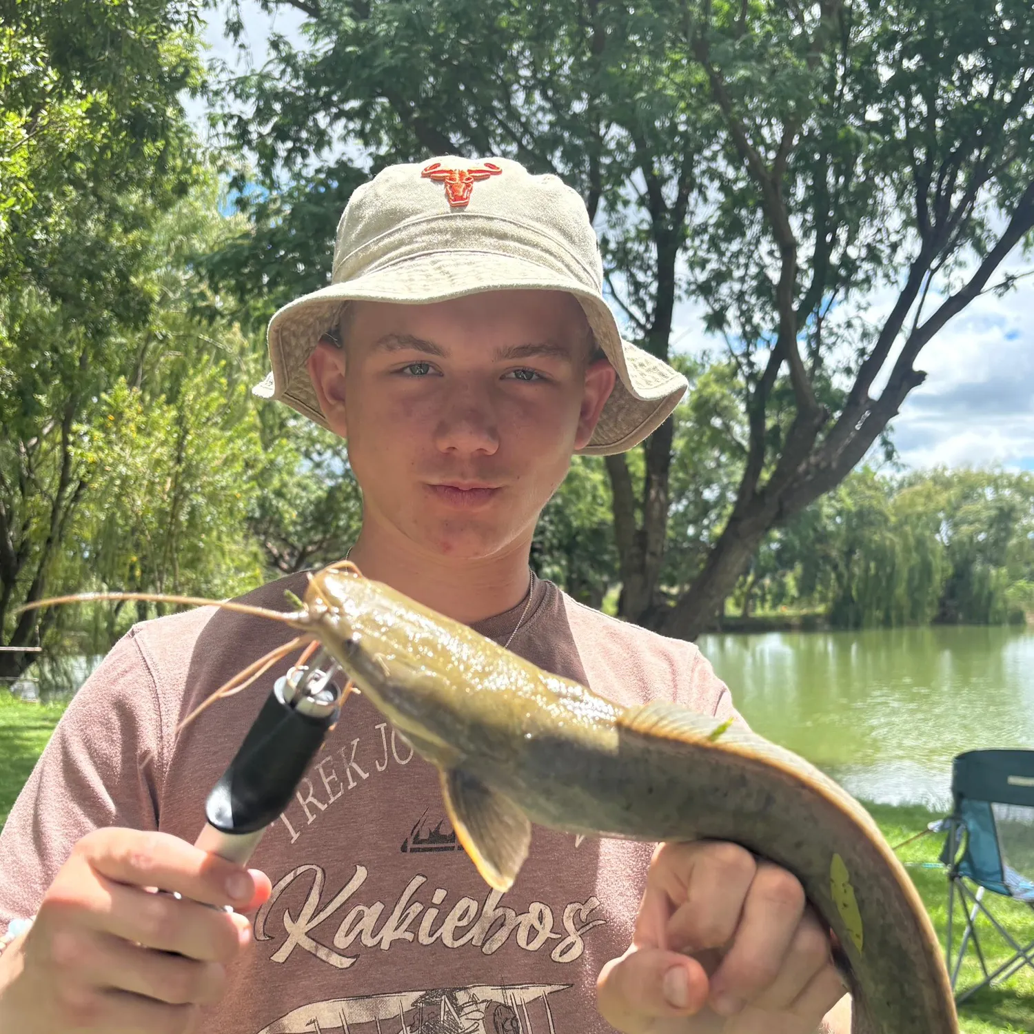 The most recent North African catfish catches on Fishbrain