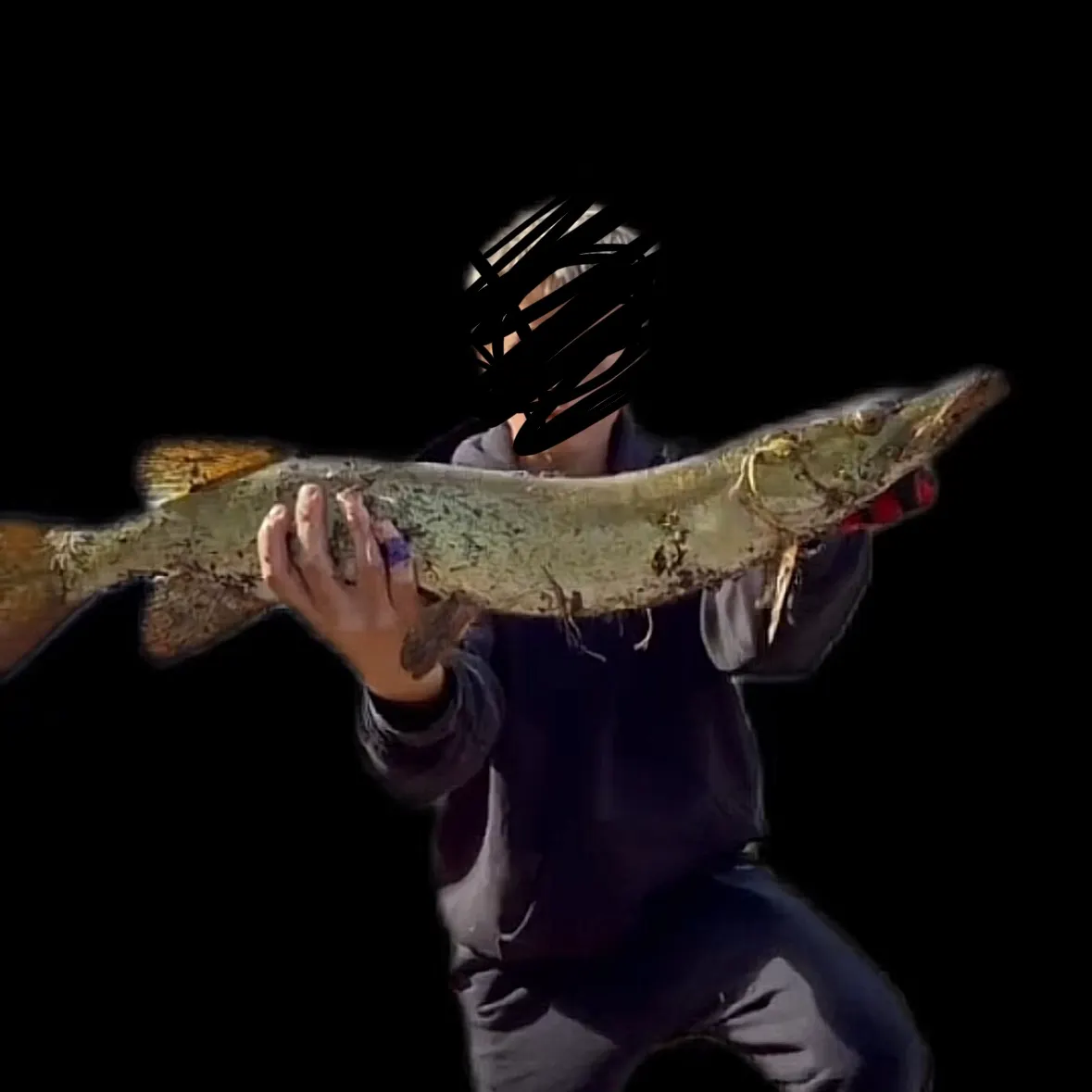 Muskie caught on Fishbrain