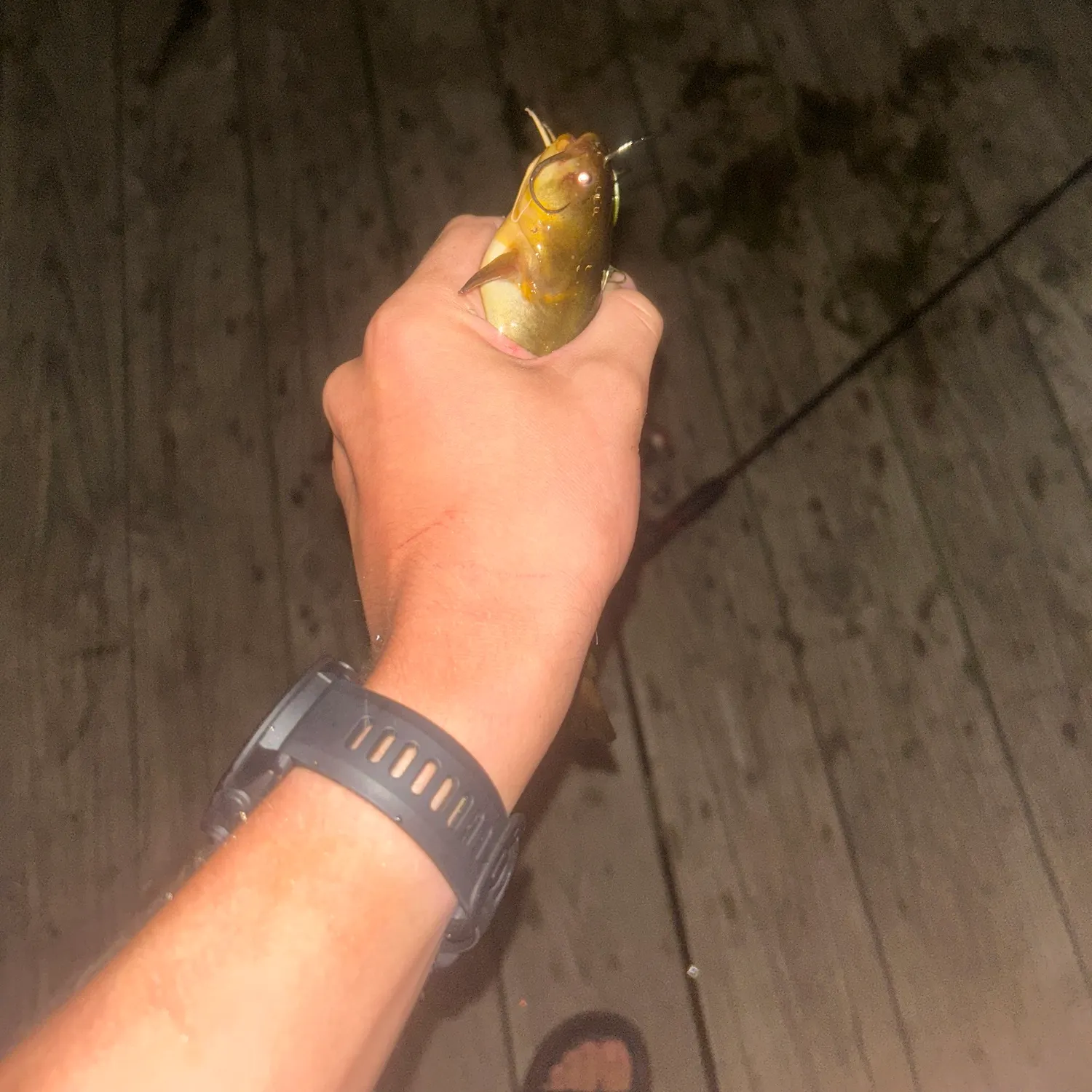 catch