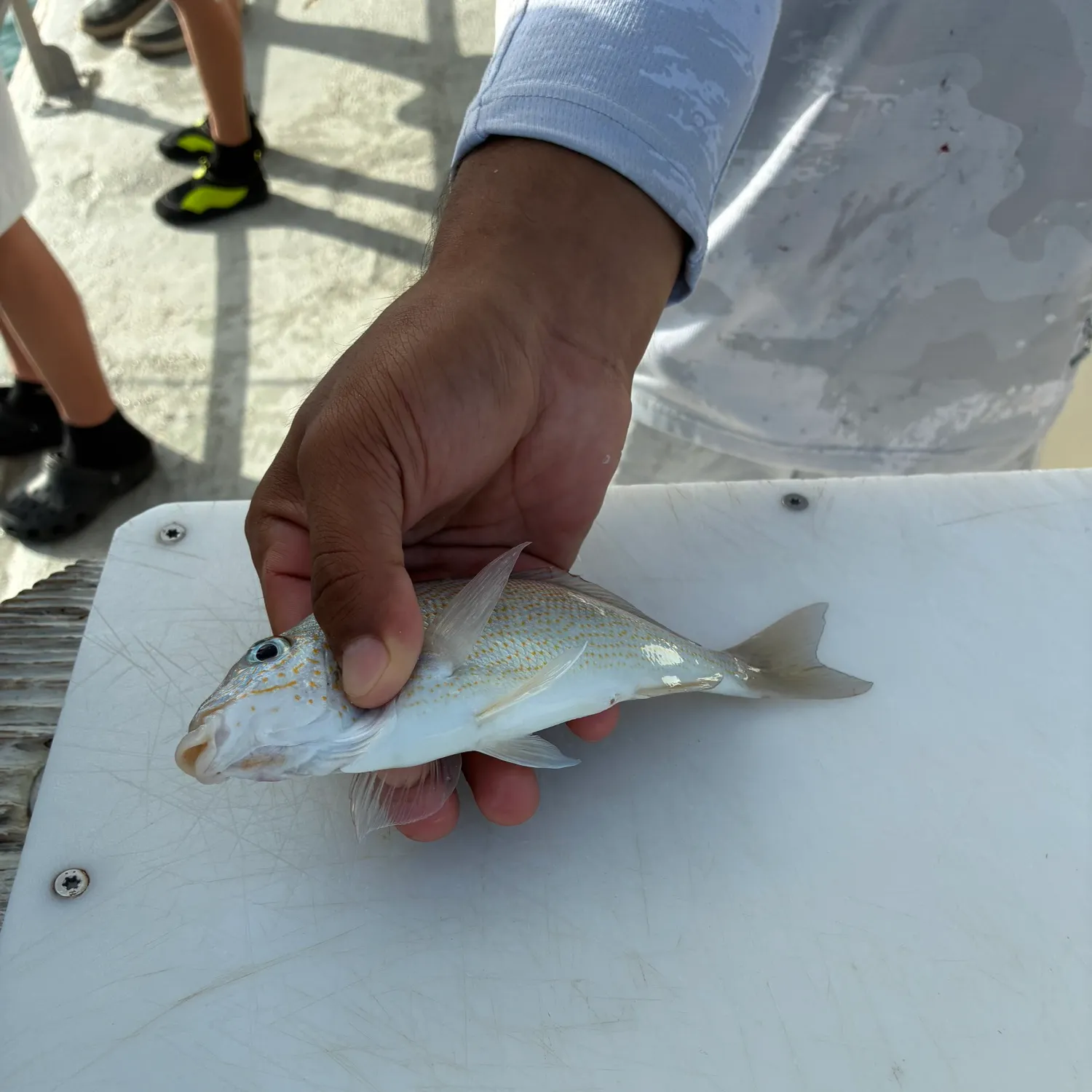 catch