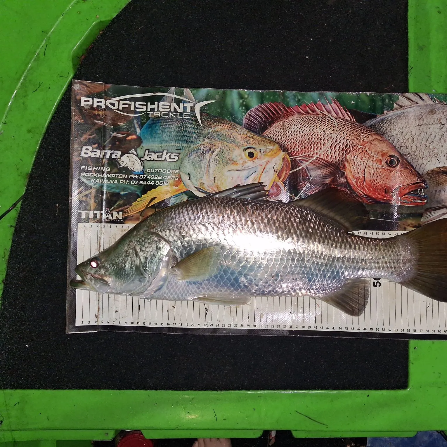 Barramundi caught on Fishbrain