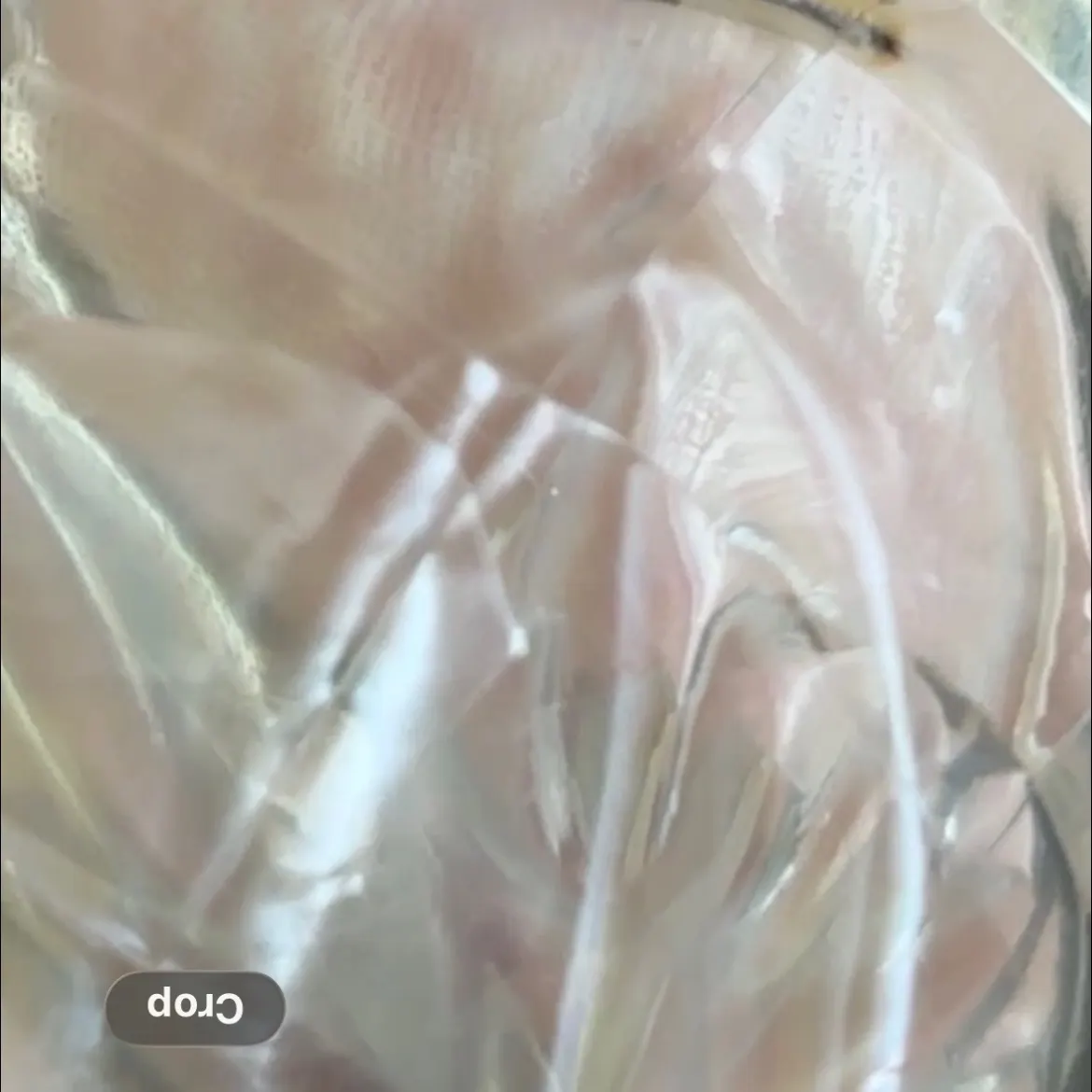 Weed shiner caught on Fishbrain