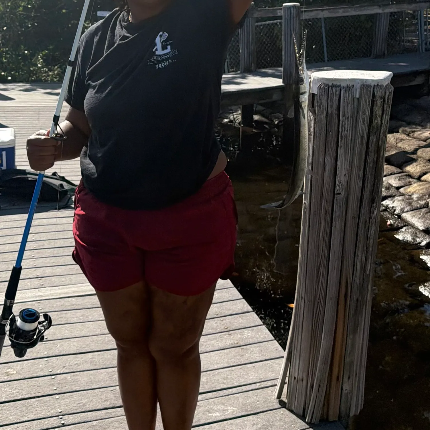 The most recent Atlantic needlefish catches on Fishbrain