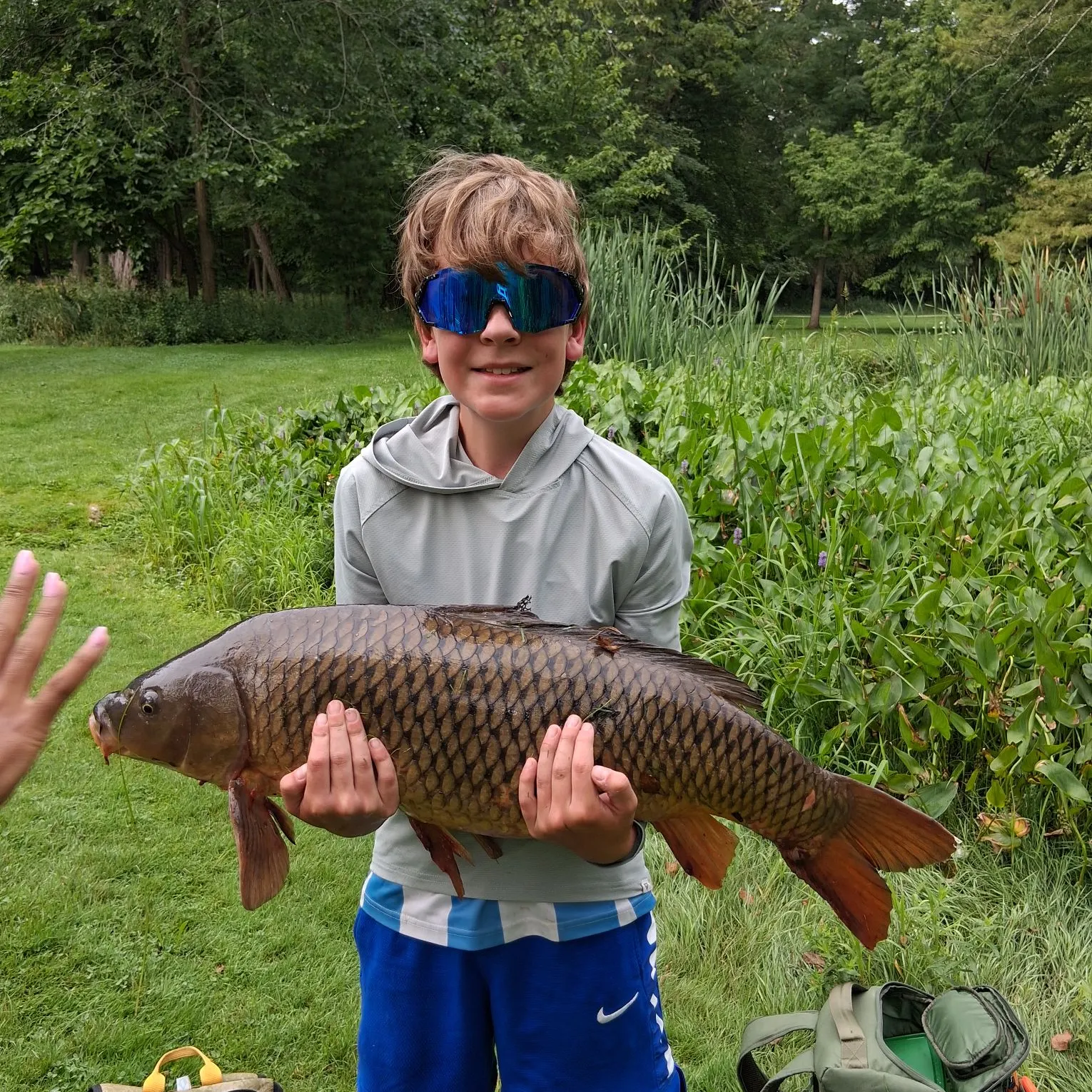 Common carp caught on Fishbrain