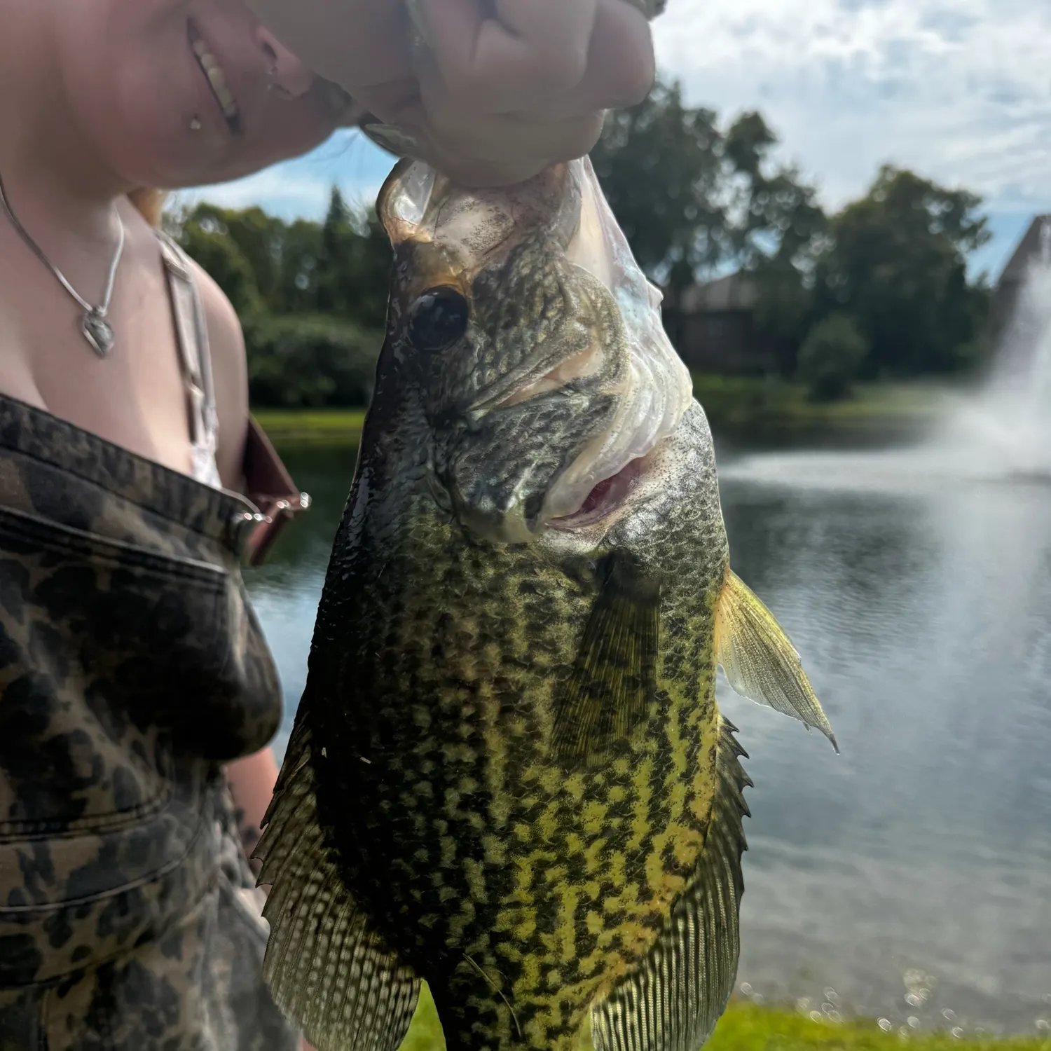 Black crappie caught on Fishbrain