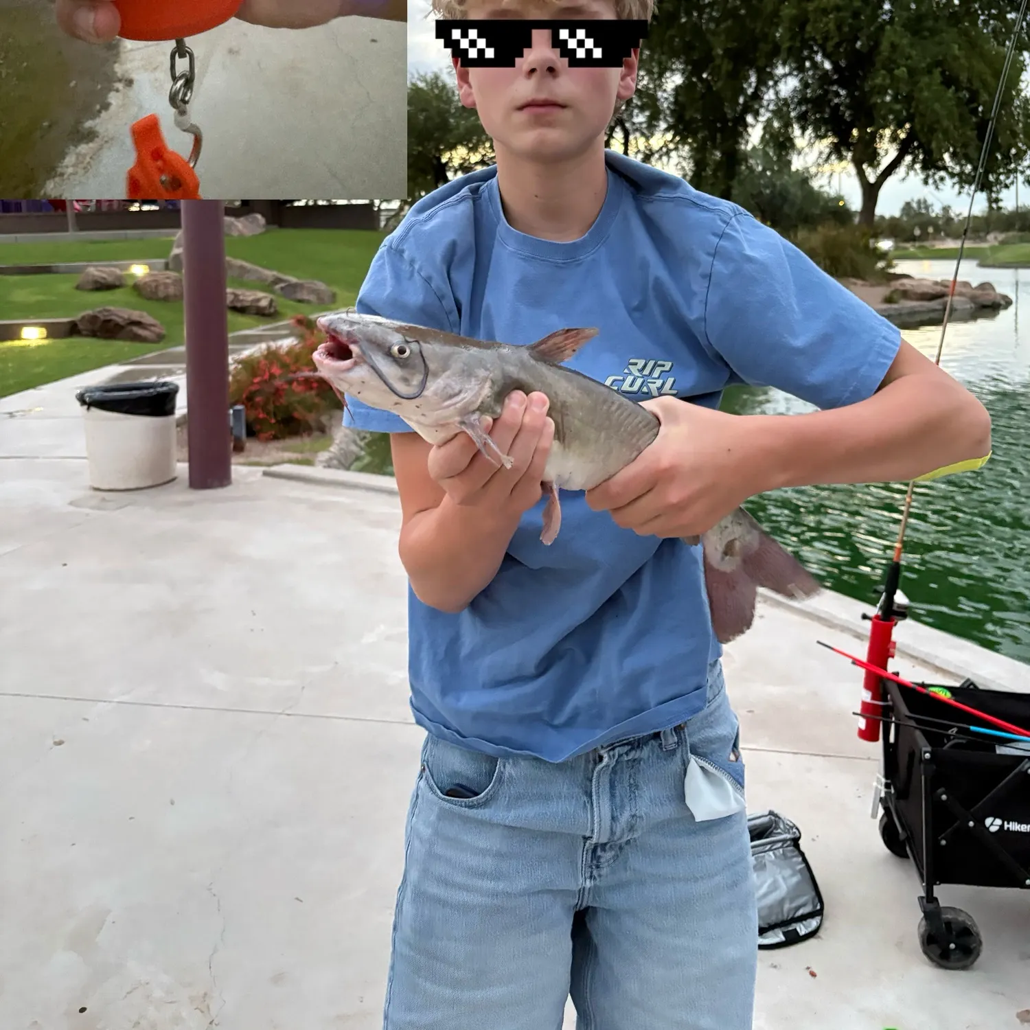 Channel catfish caught on Fishbrain