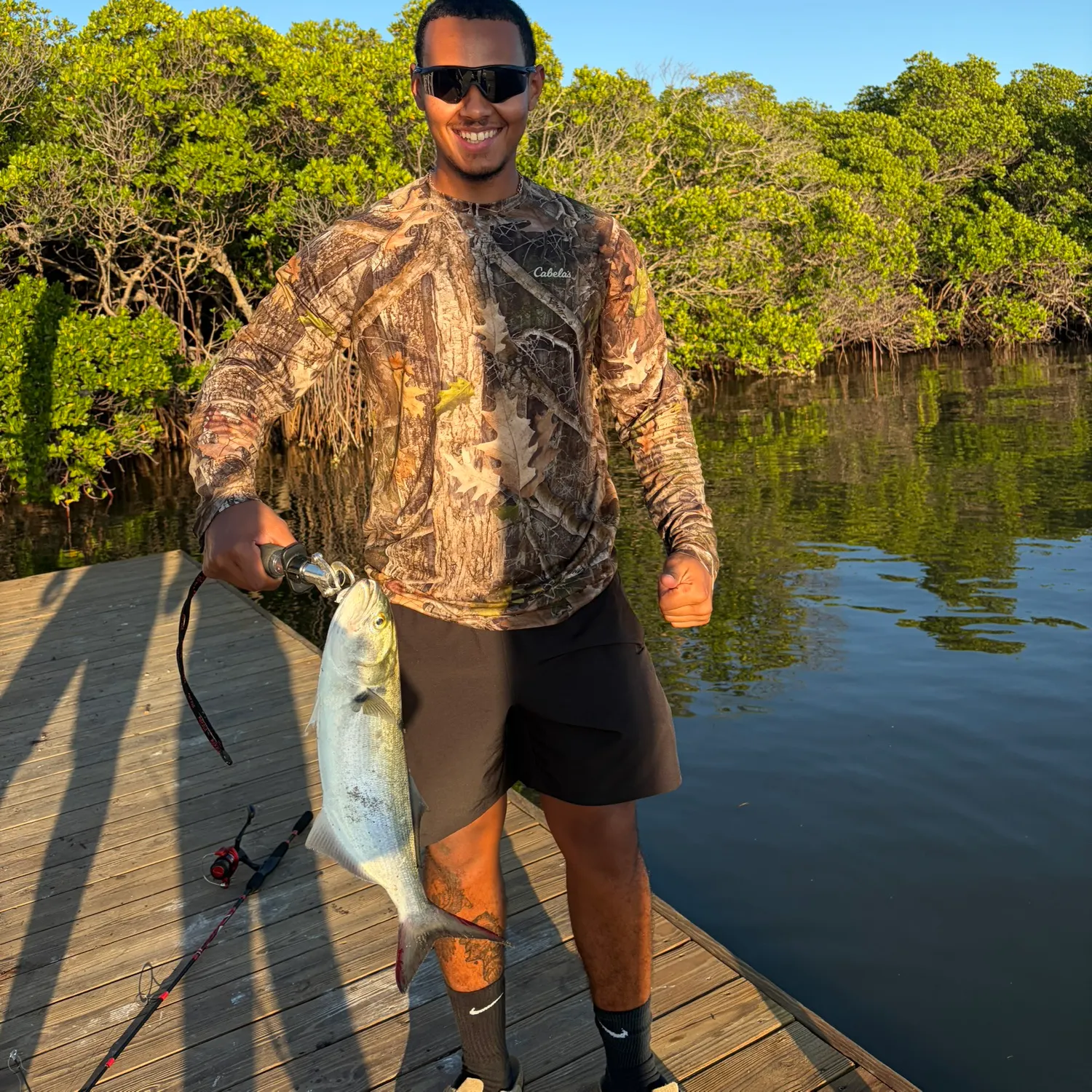 The most recent Bluefish catches on Fishbrain