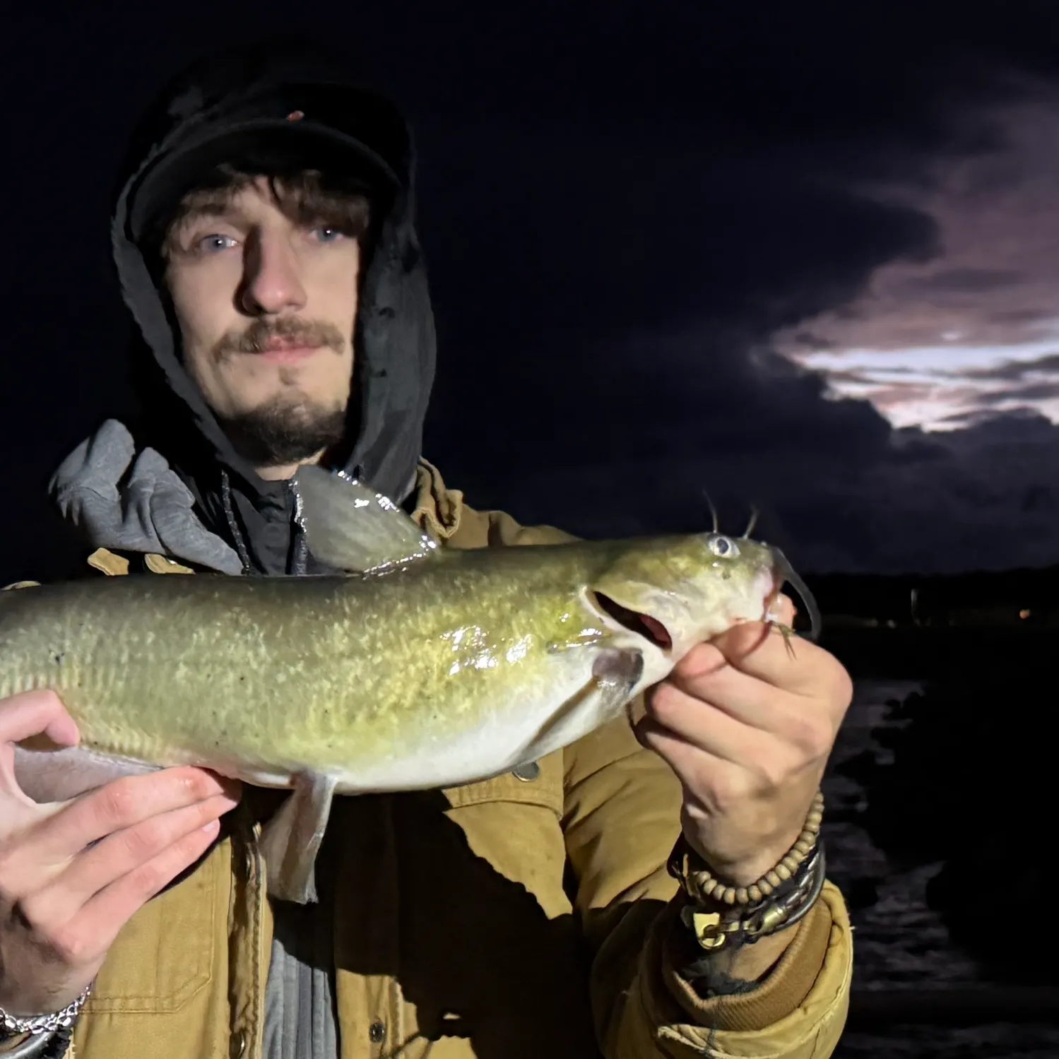 Channel catfish caught on Fishbrain