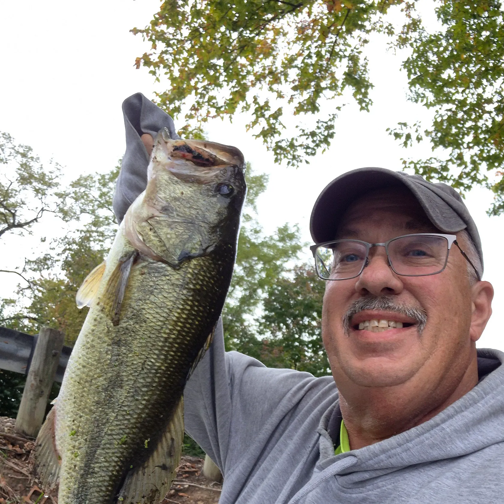 Largemouth bass caught on Fishbrain