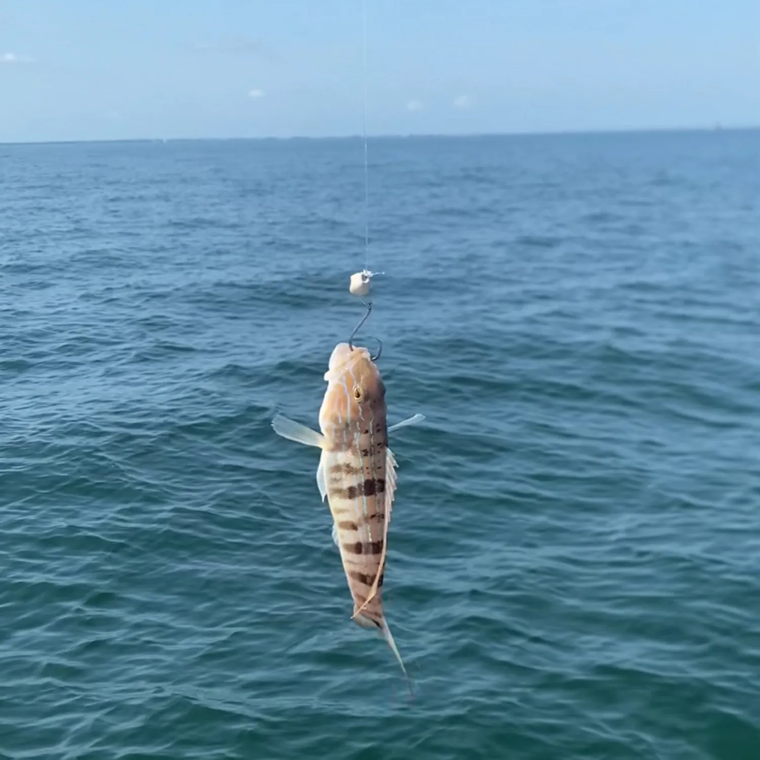 most liked catch image