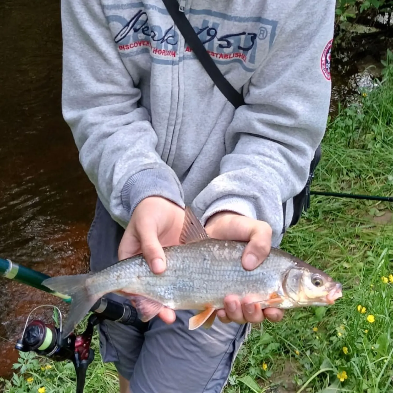 most liked catch image