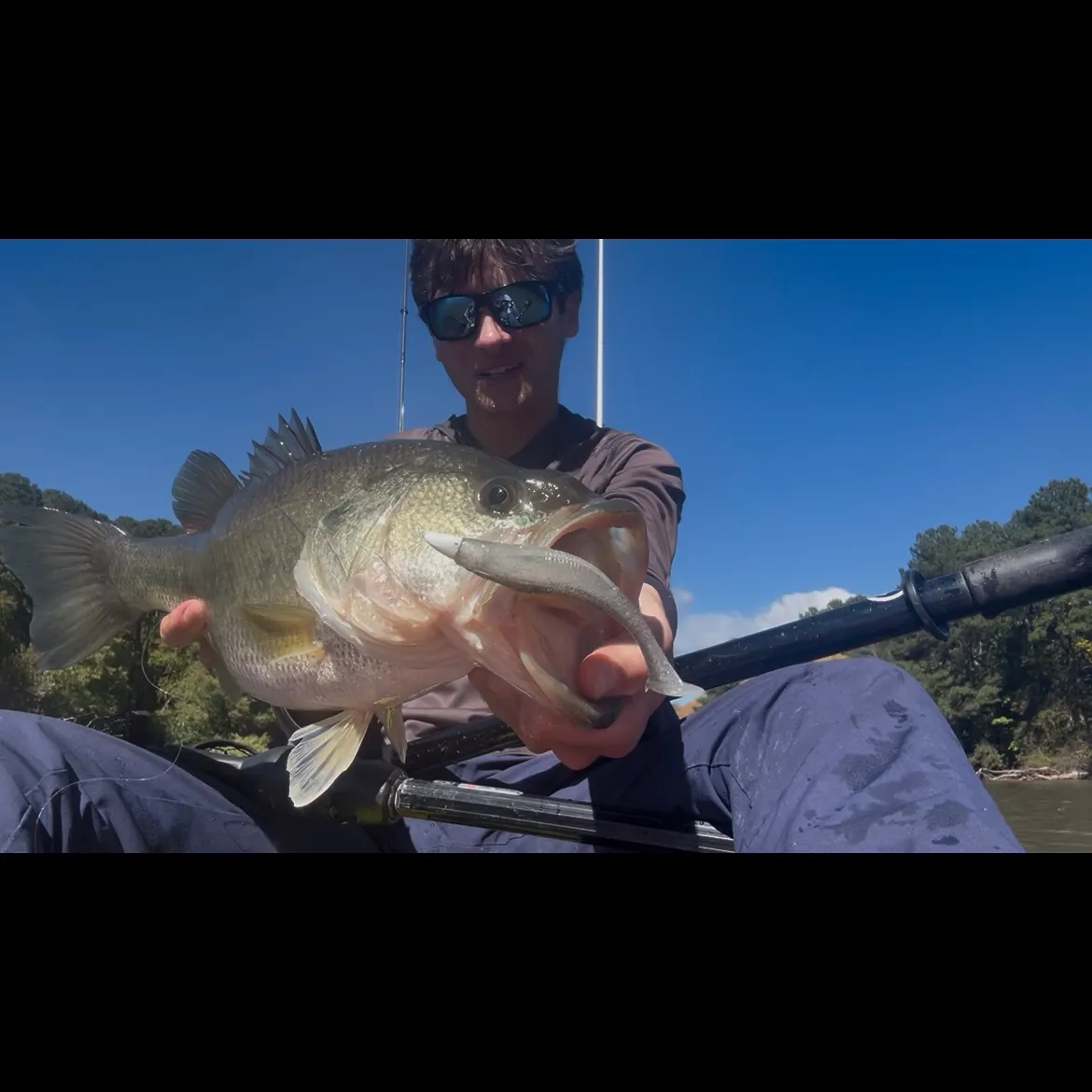 Largemouth bass caught on Fishbrain
