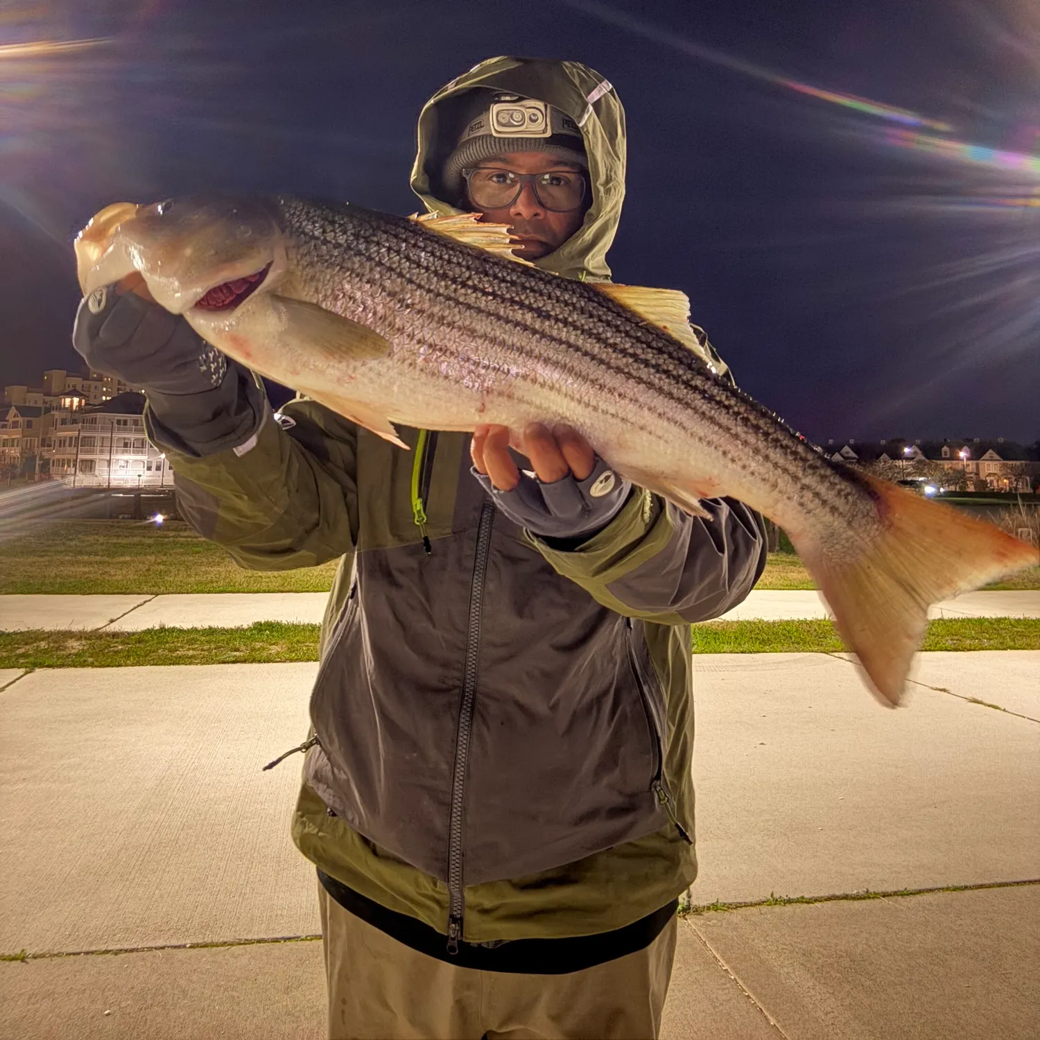 Striped bass caught on Fishbrain