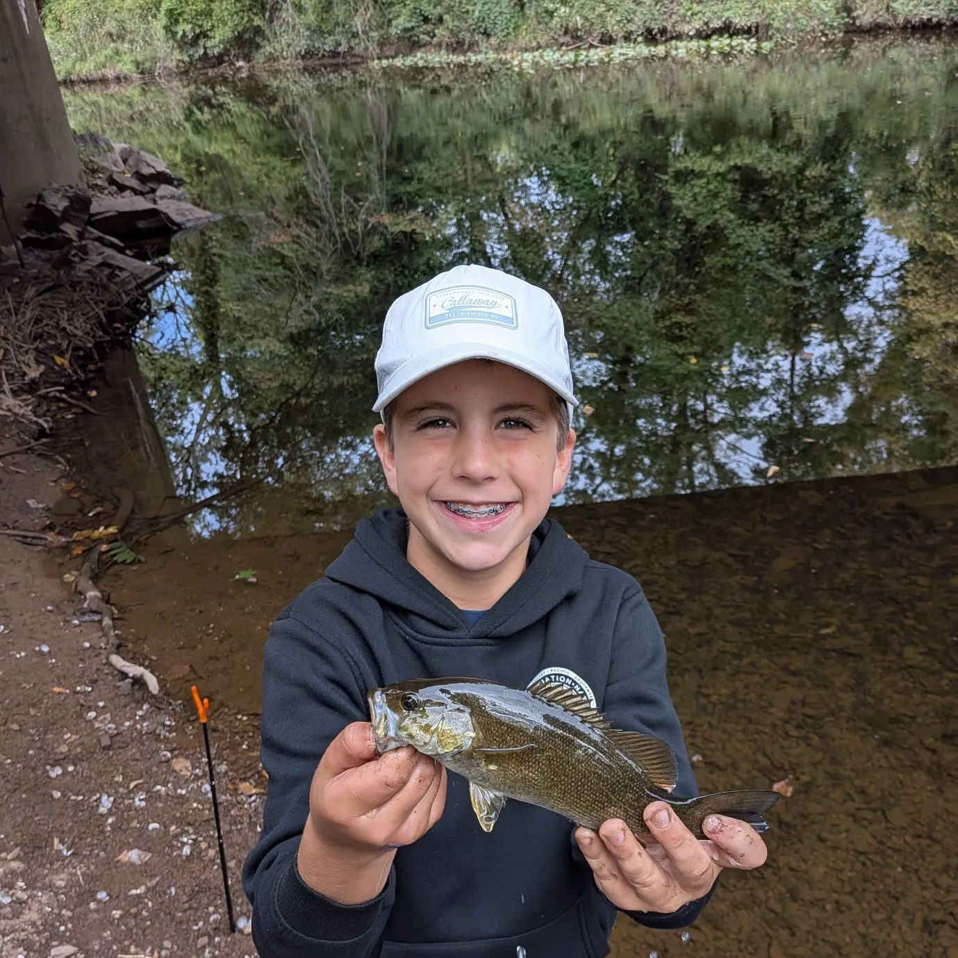 Smallmouth bass caught on Fishbrain