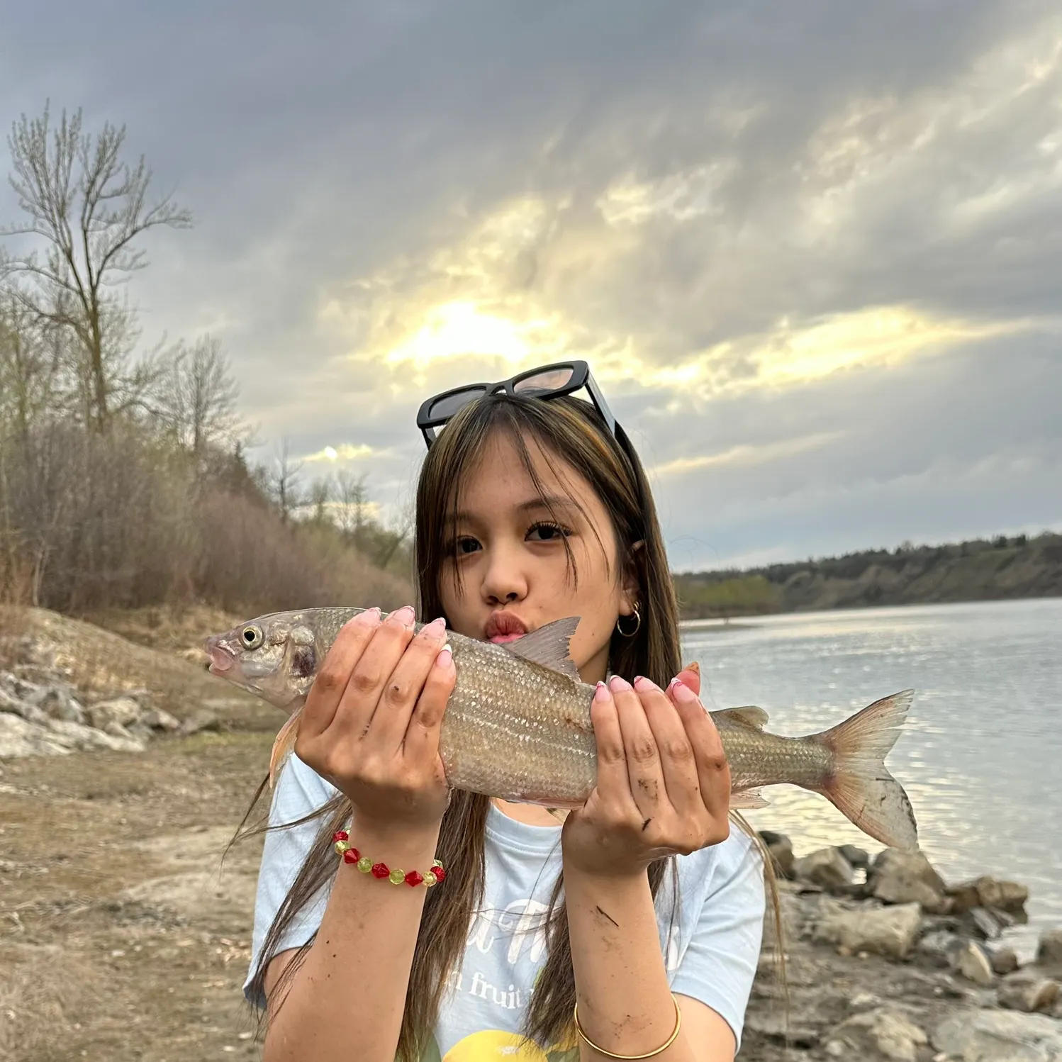 The most recent Mountain whitefish catches on Fishbrain