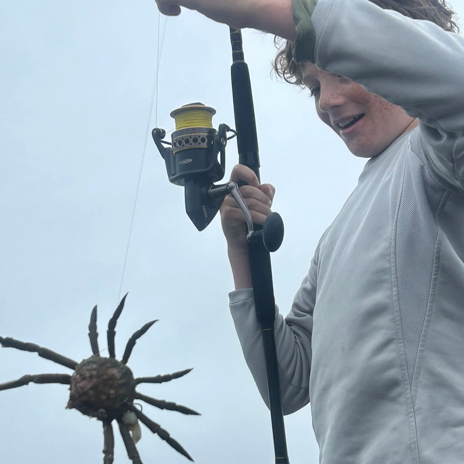 The most recent Portly spider crab catches on Fishbrain
