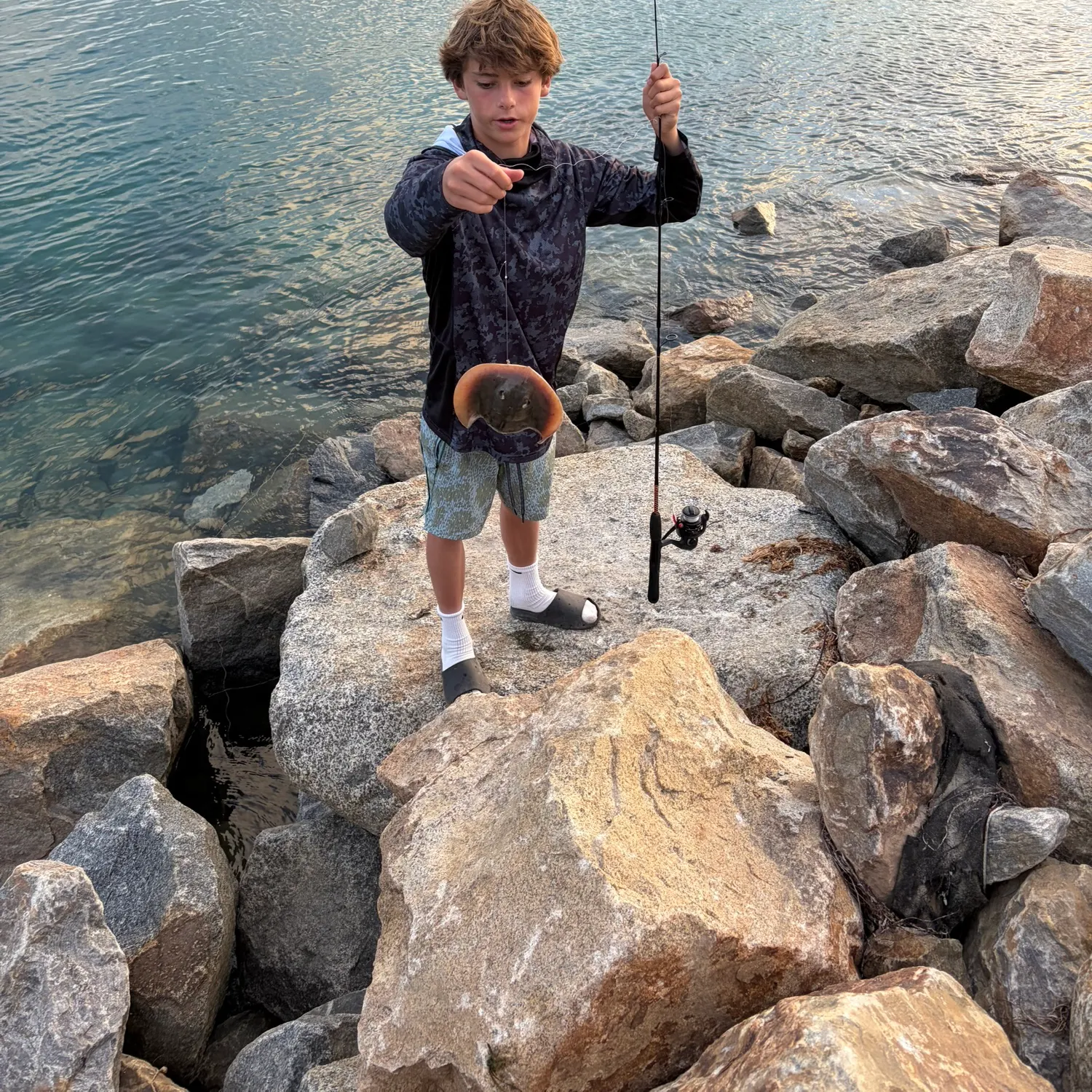 The most recent Haller's round ray catches on Fishbrain