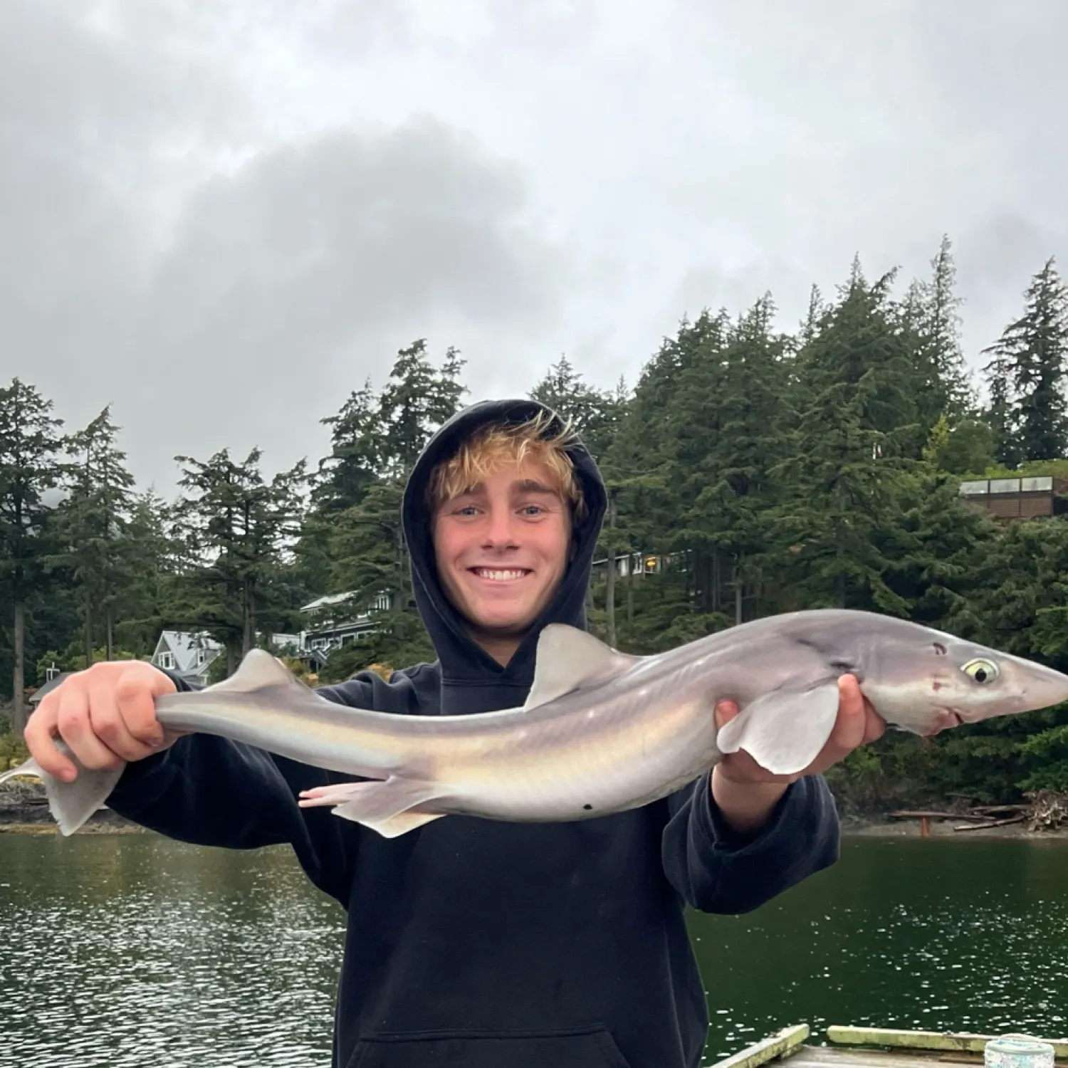 The most recent Piked dogfish catches on Fishbrain